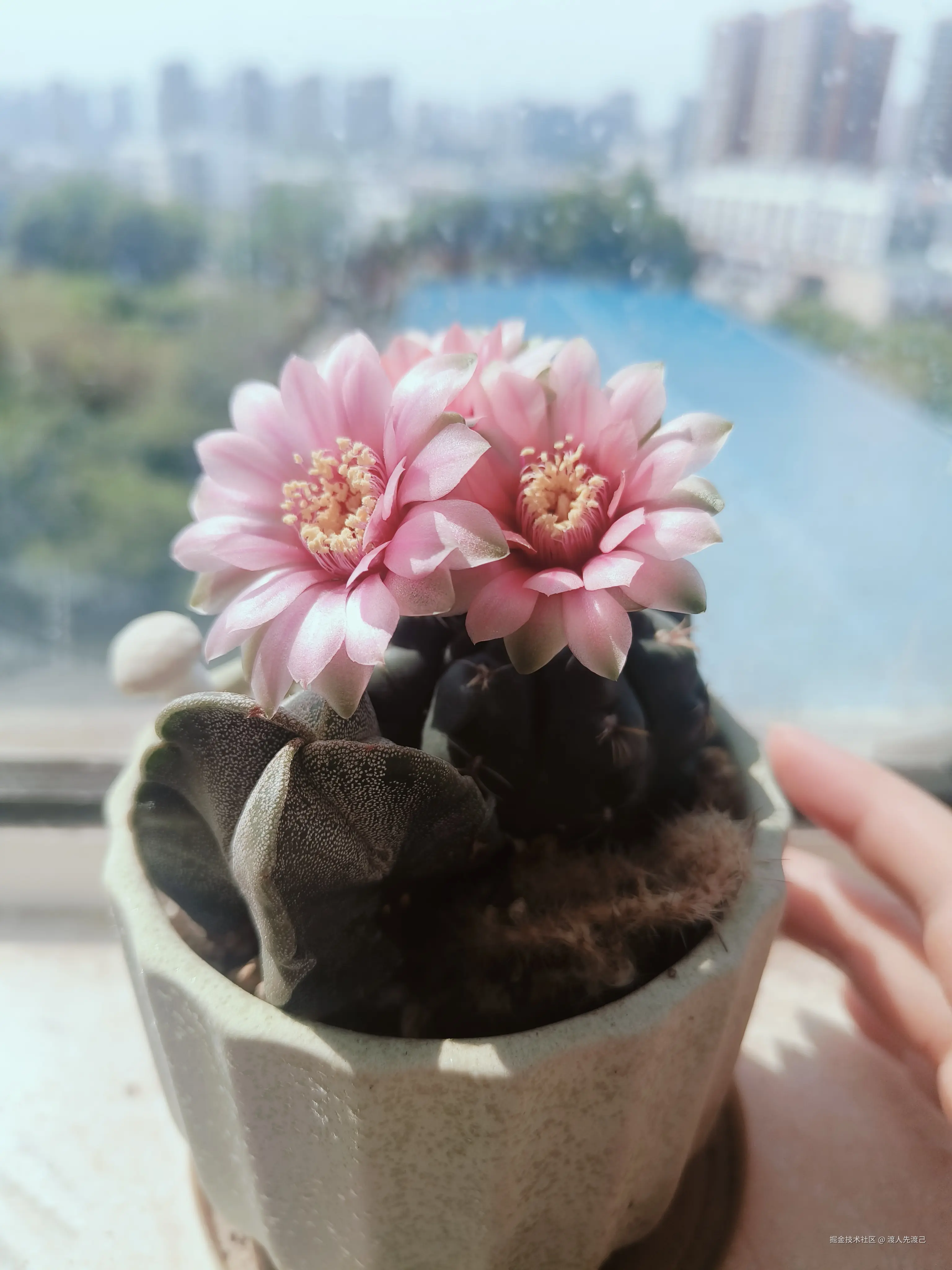 渡人先渡己于2025-04-27 01:33发布的图片