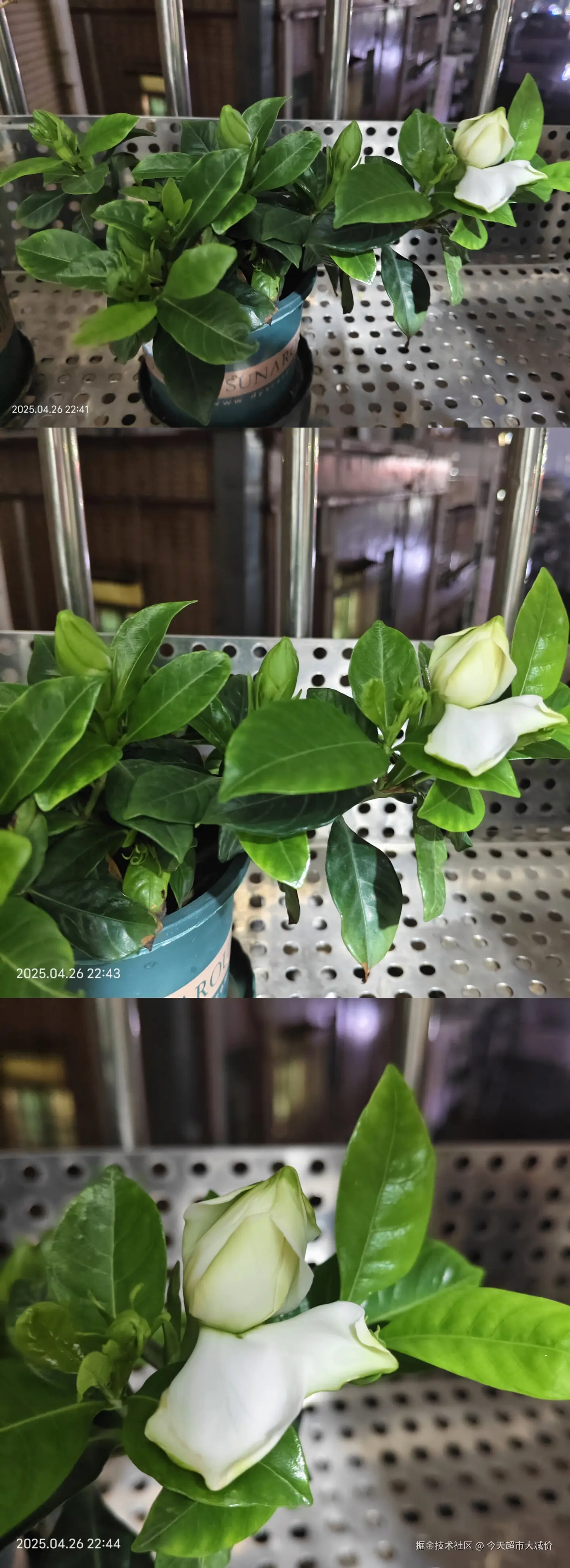 今天超市大减价于2025-04-28 10:30发布的图片