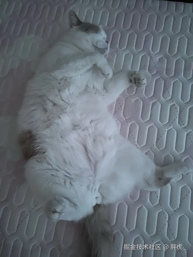 胖虎_于2024-10-22 10:09发布的图片