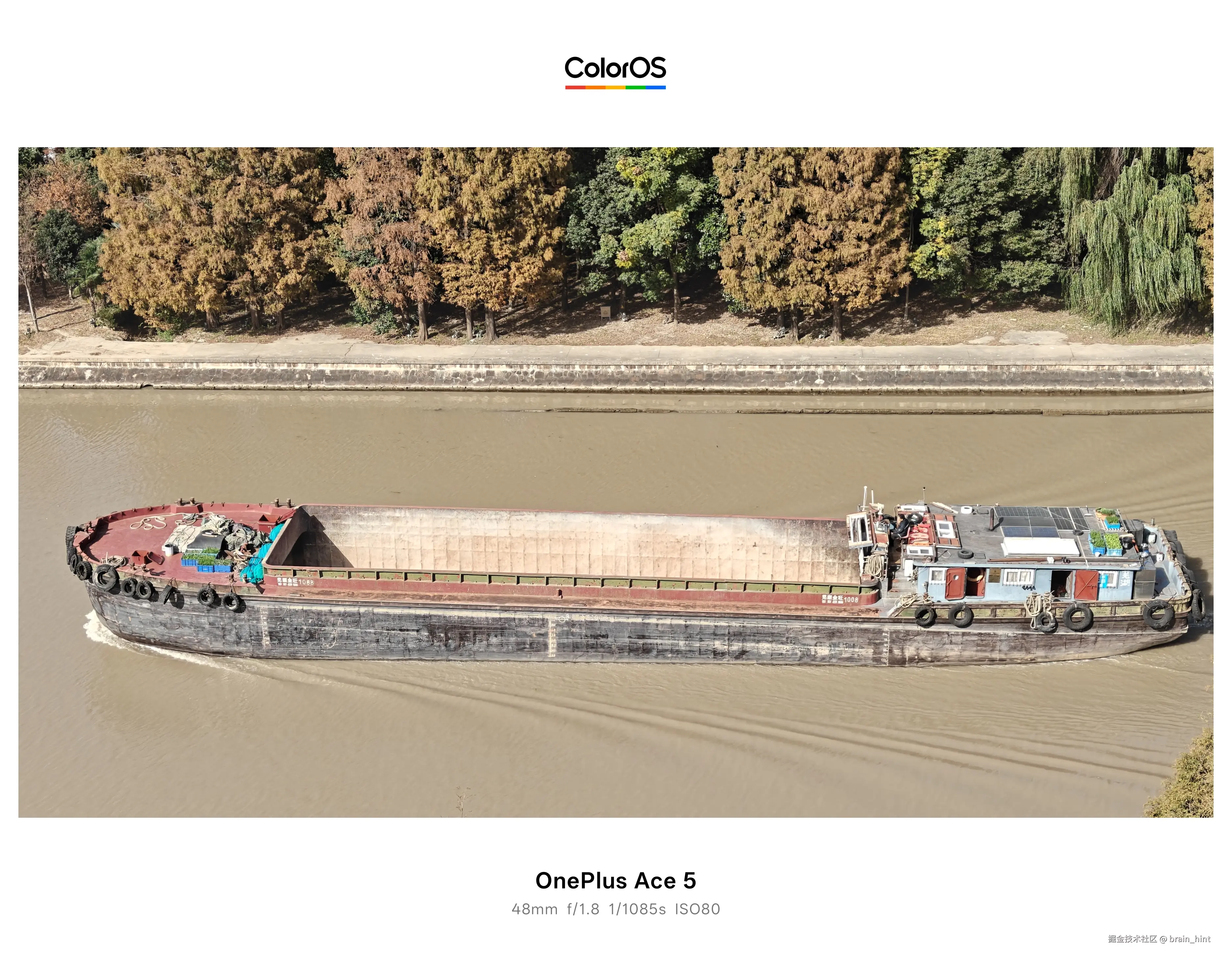 brain_hint于2025-11-28 05:11发布的图片