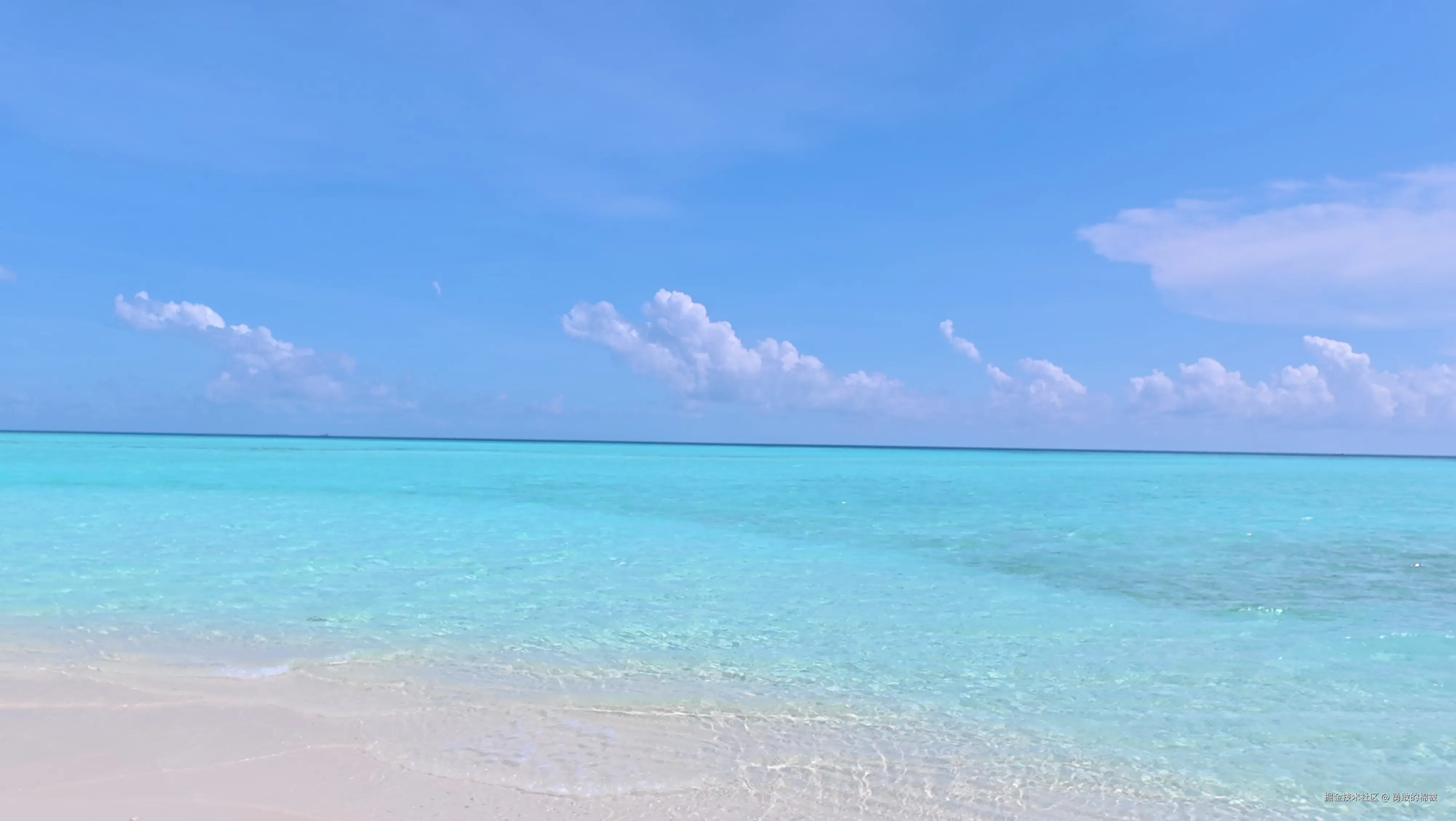 勇敢的棉被于2025-12-18 11:34发布的图片