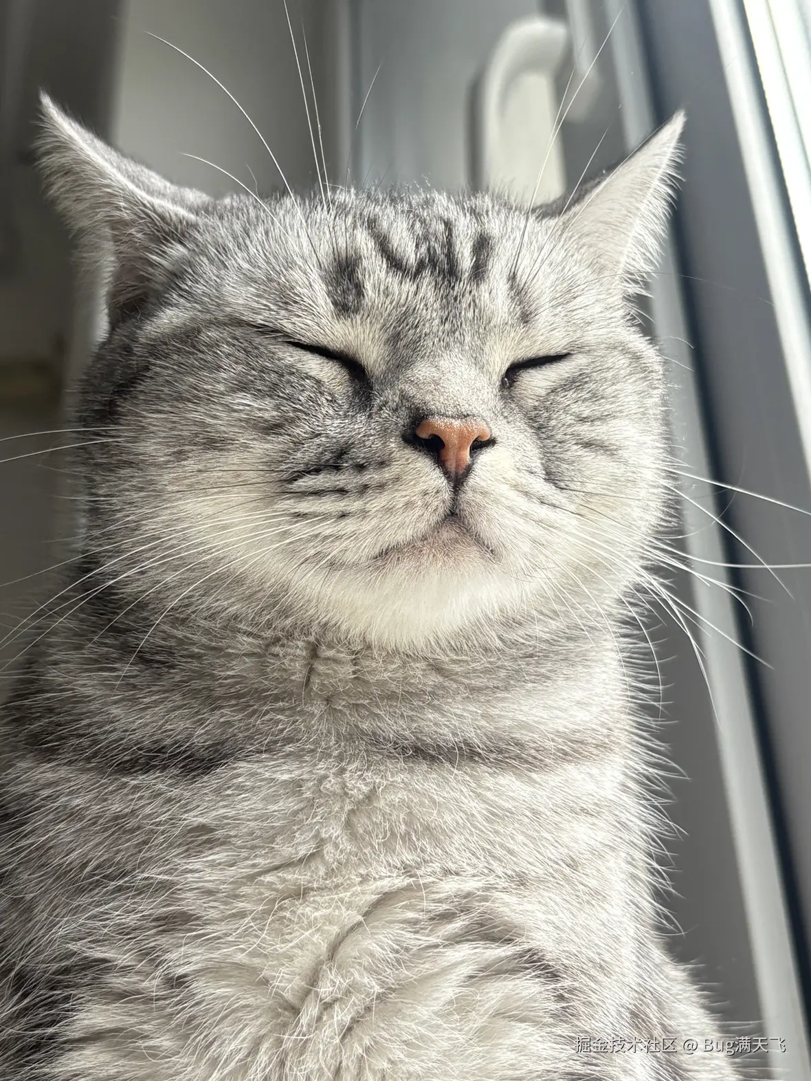 Bug满天飞于2025-04-16 14:35发布的图片