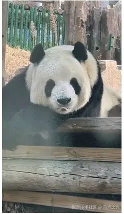 奇点之光于2025-04-18 09:30发布的图片