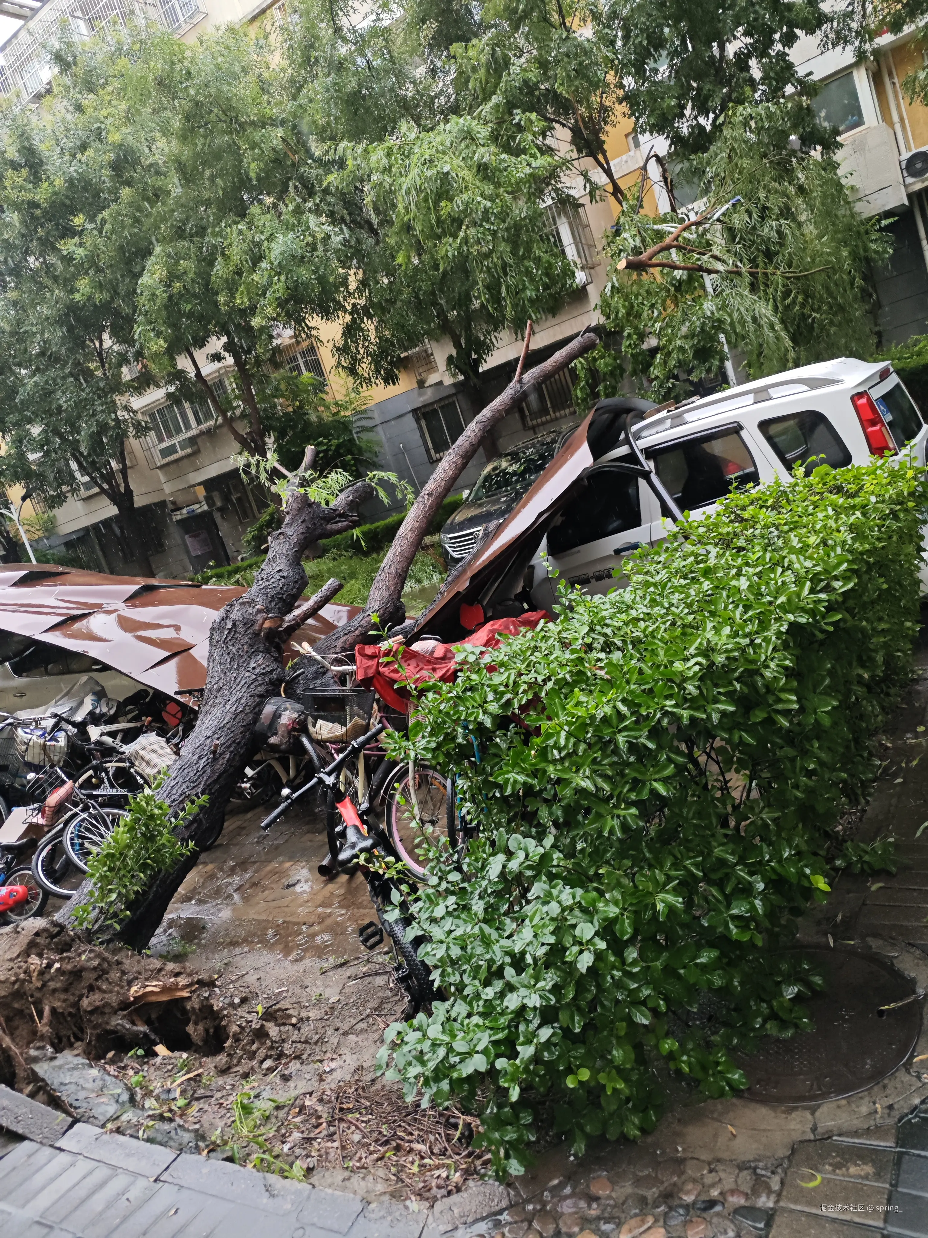 spring_于2025-07-29 09:57发布的图片