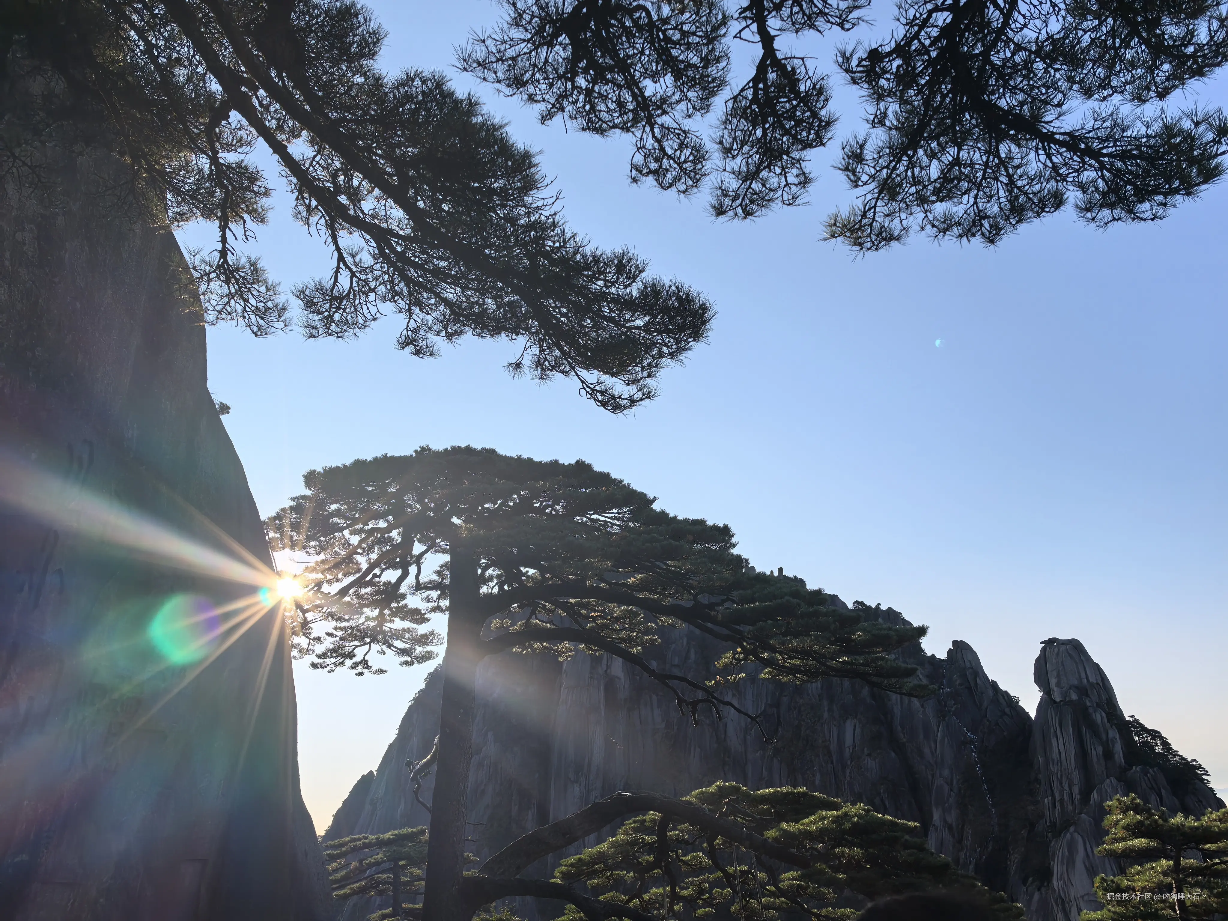 凶狗睡大石丶于2024-11-05 10:11发布的图片