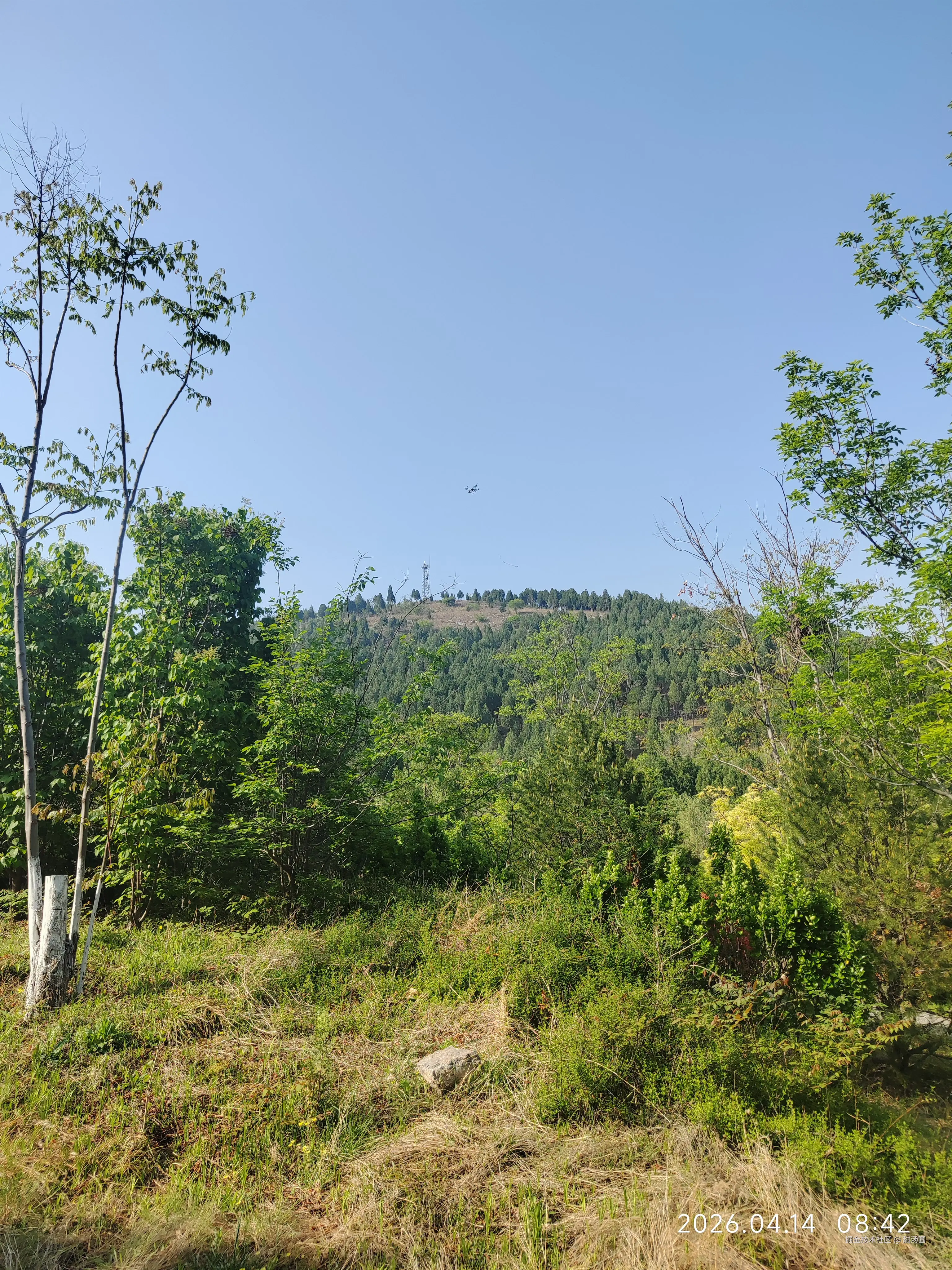 甜汤圆于2026-04-14 08:46发布的图片