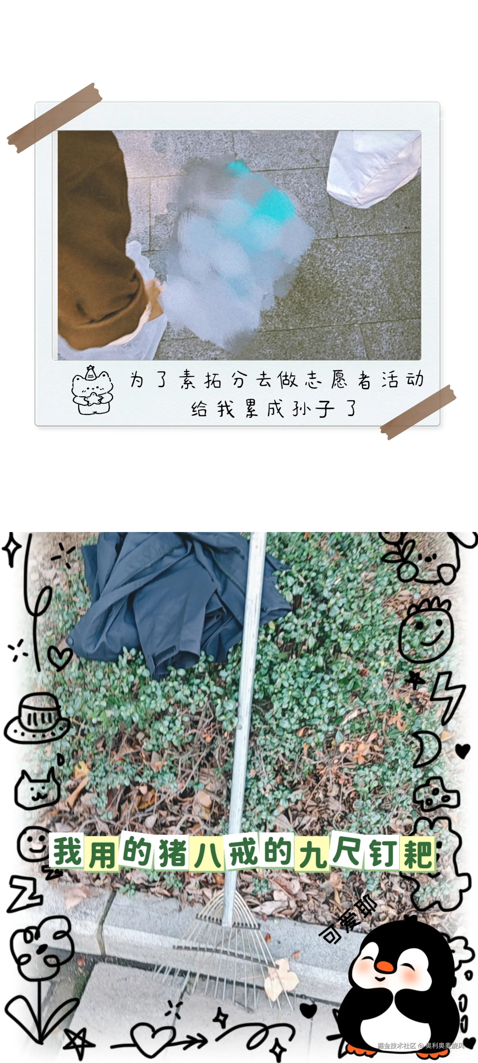 奥利奥麦旋风于2025-03-14 11:48发布的图片