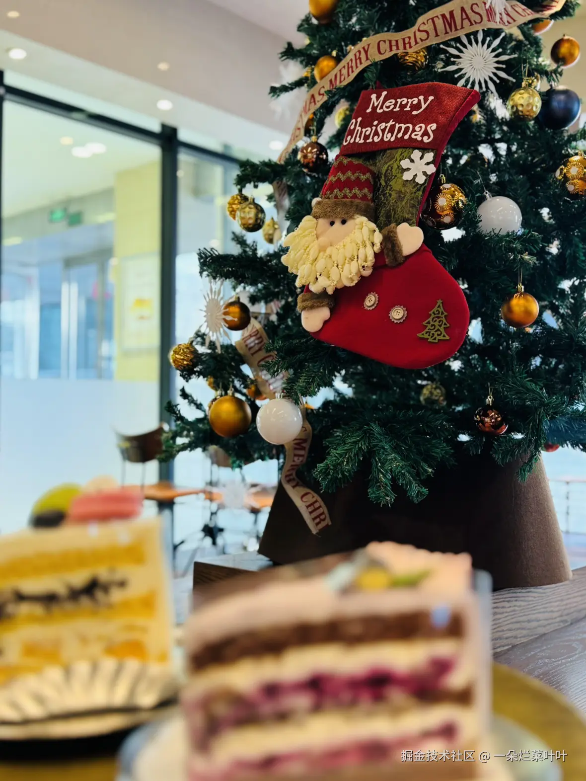 一朵烂菜叶叶于2024-12-09 15:37发布的图片