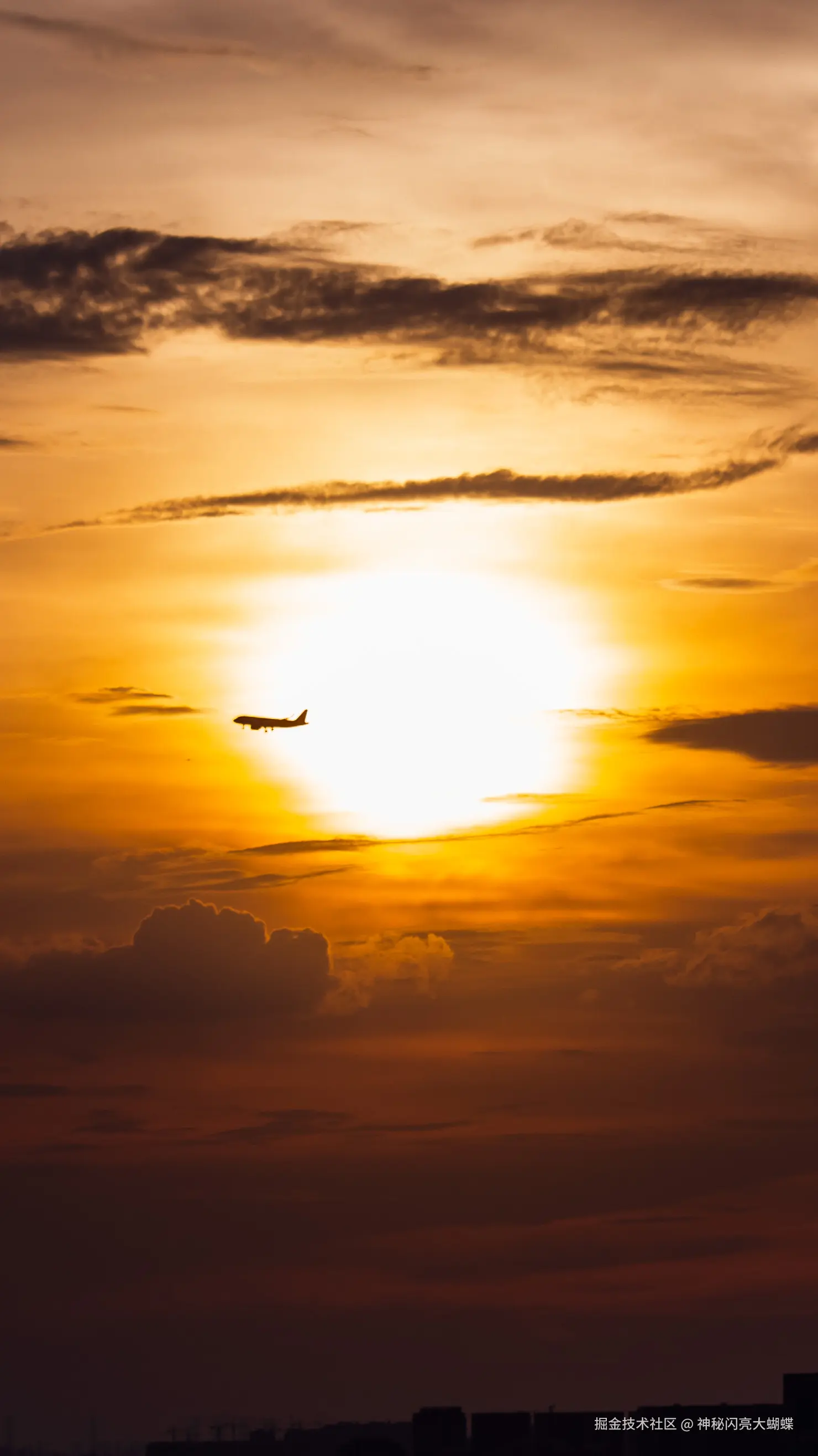 神秘闪亮大蝴蝶于2026-03-18 17:09发布的图片