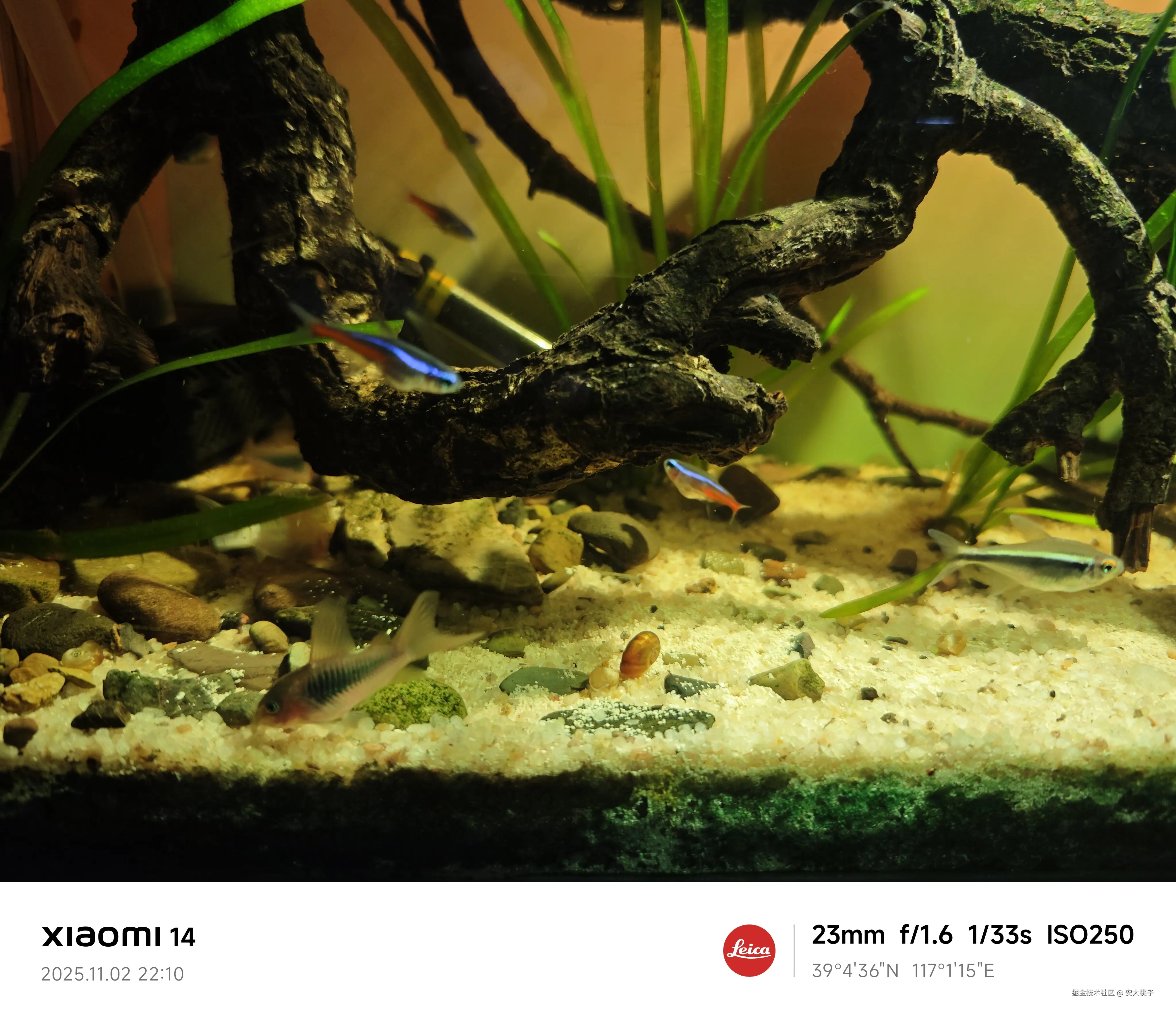 安大桃子于2025-11-03 16:41发布的图片