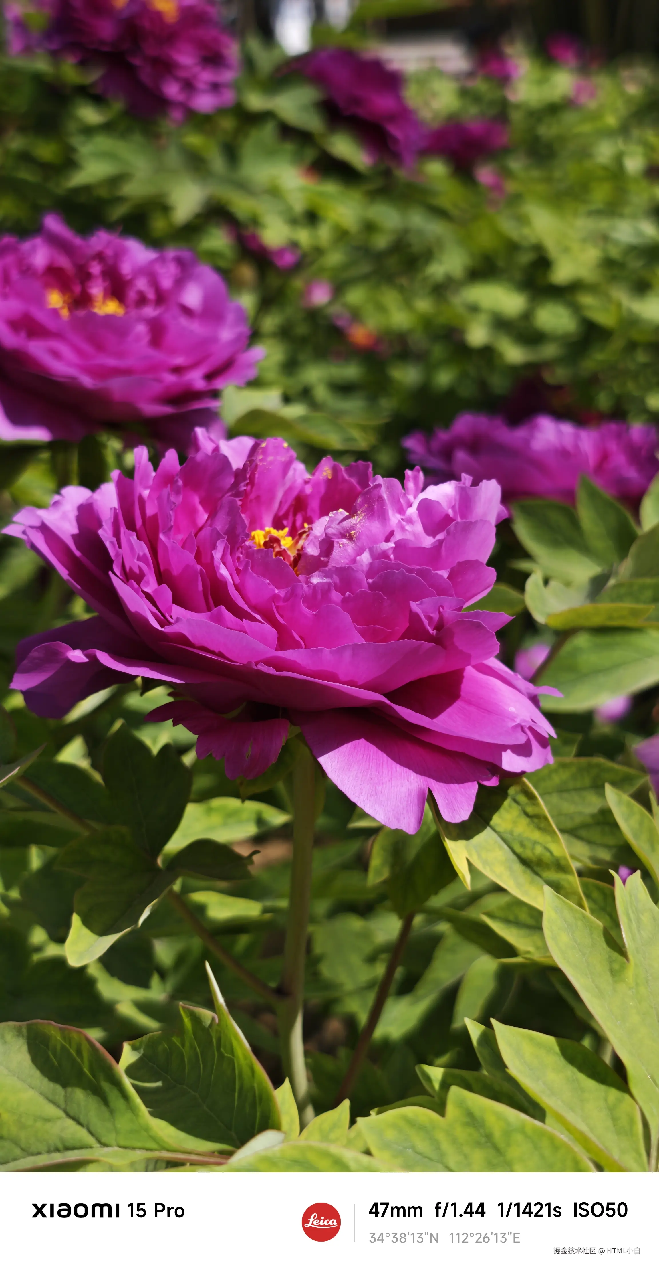 HTML小白于2025-04-07 17:27发布的图片