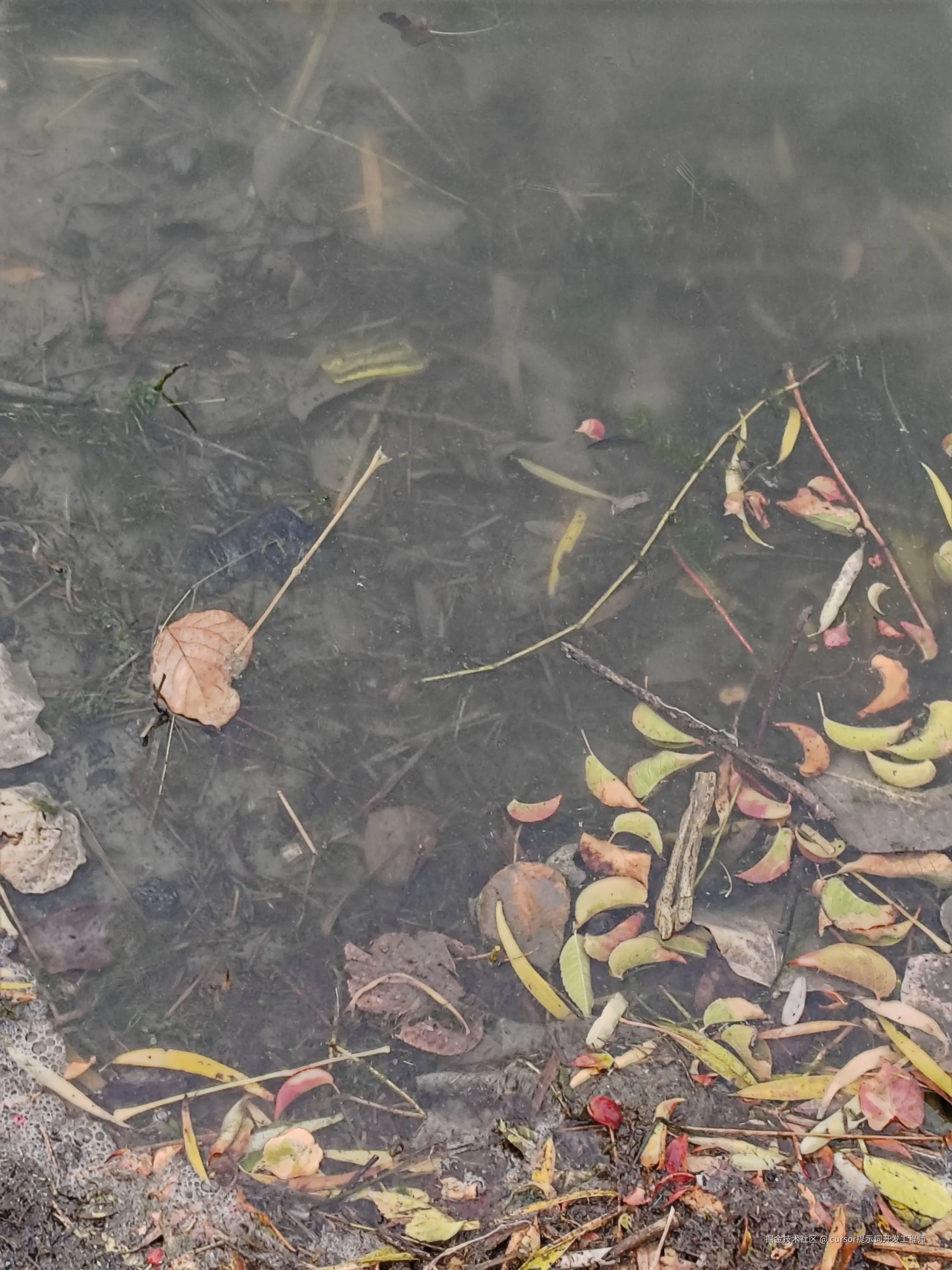 cursor提示词开发工程师于2025-12-20 15:02发布的图片