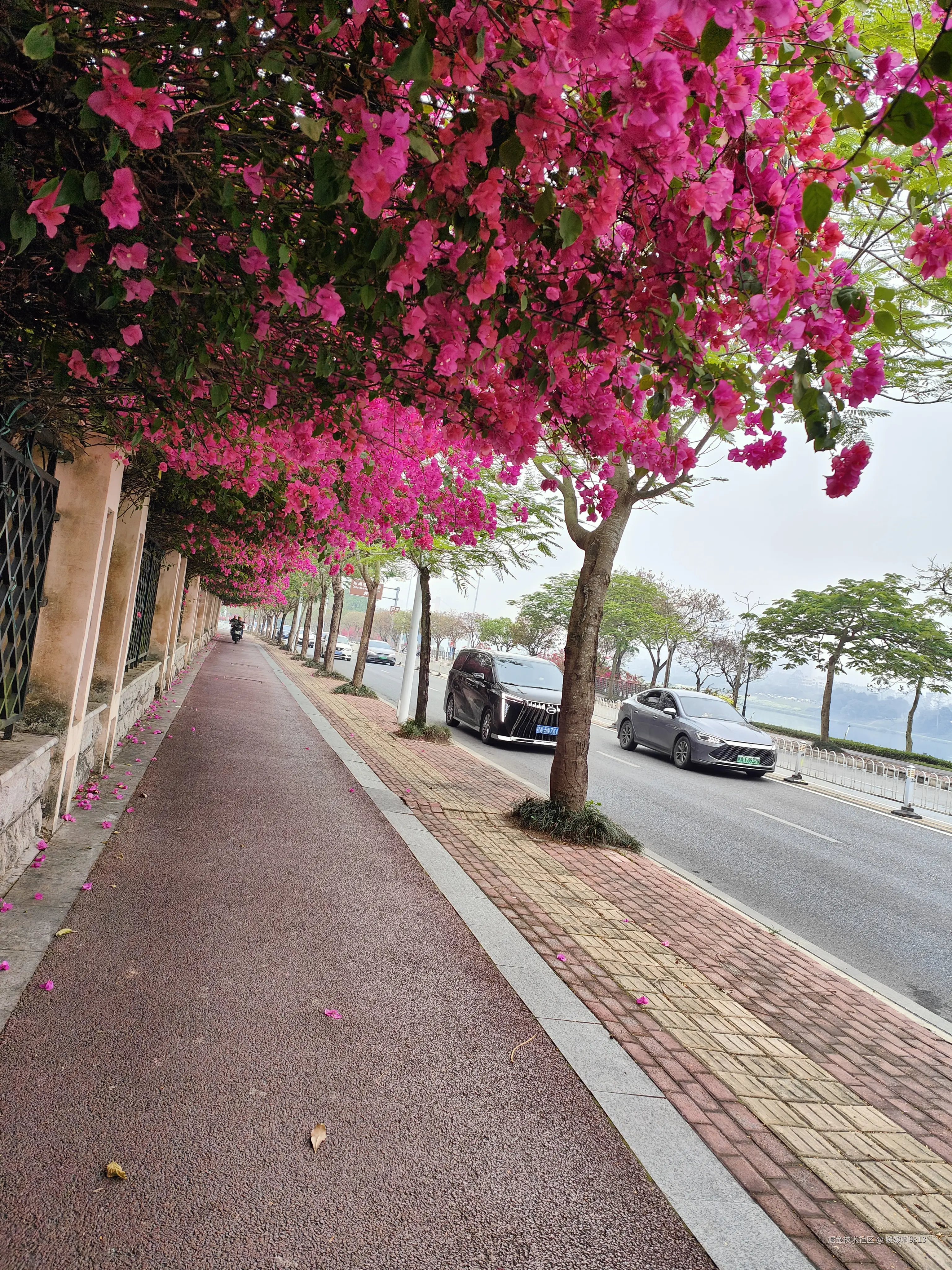 媛媛啊9813于2026-03-28 23:19发布的图片