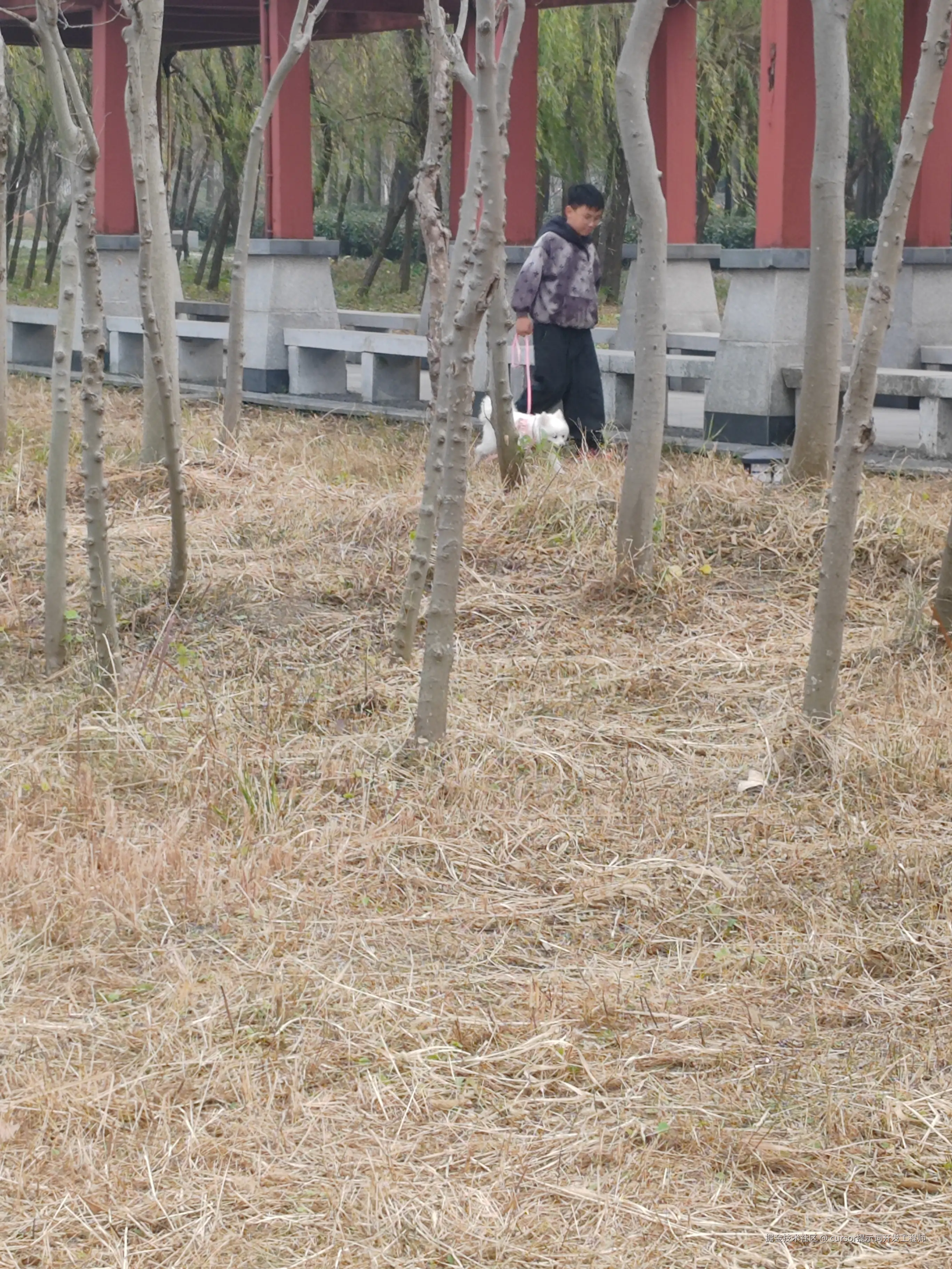 cursor提示词开发工程师于2025-12-20 15:02发布的图片