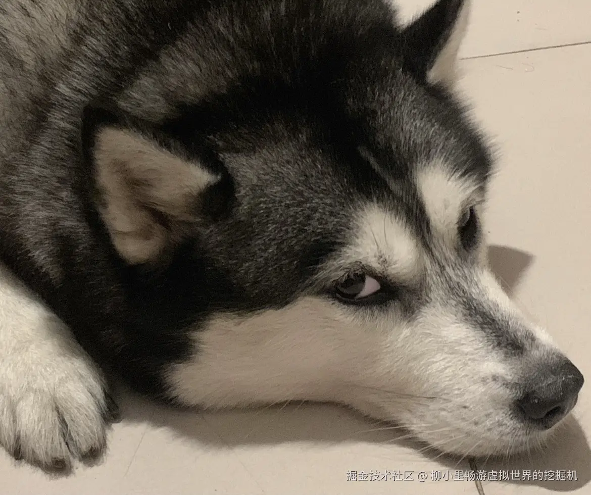 柳小里畅游虚拟世界的挖掘机于2025-11-27 10:58发布的图片