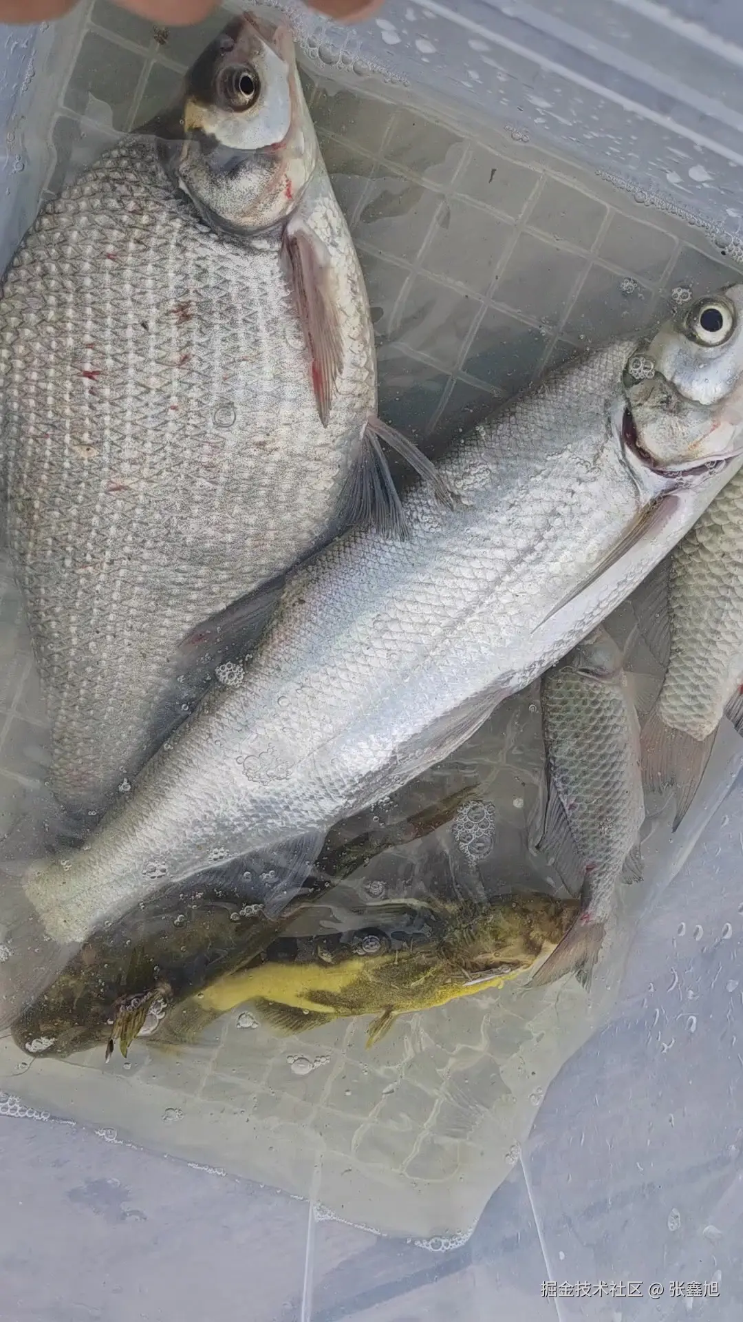 张鑫旭于2025-08-04 11:15发布的图片