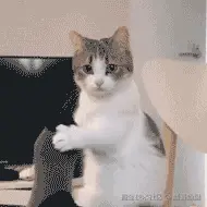 龘靐飍飝于2024-12-25 16:41发布的图片