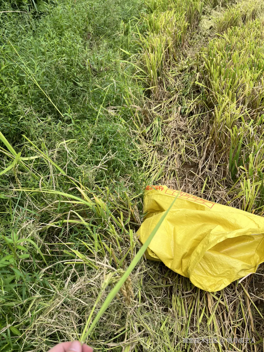 明月成三人于2024-09-18 11:11发布的图片