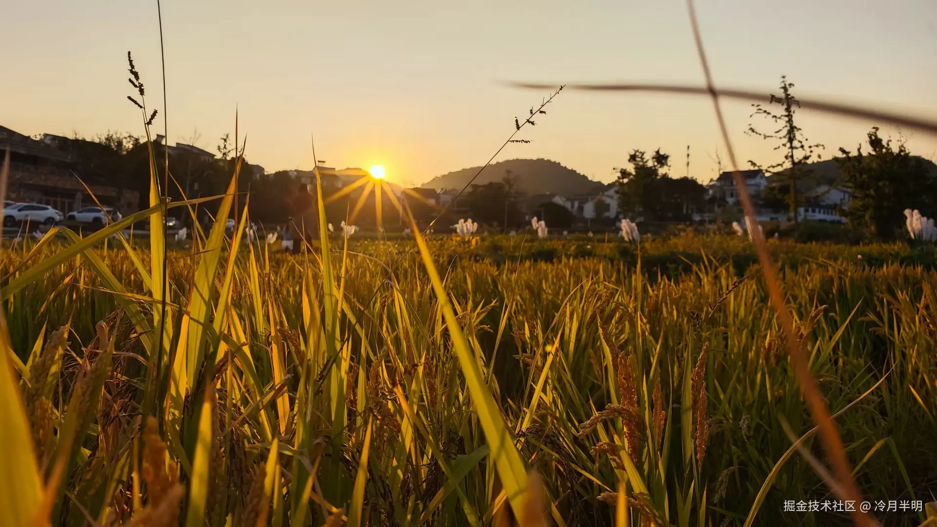 冷月半明于2024-10-24 10:21发布的图片