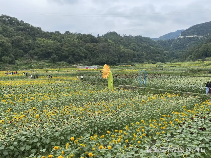 海石于2024-10-05 17:43发布的图片