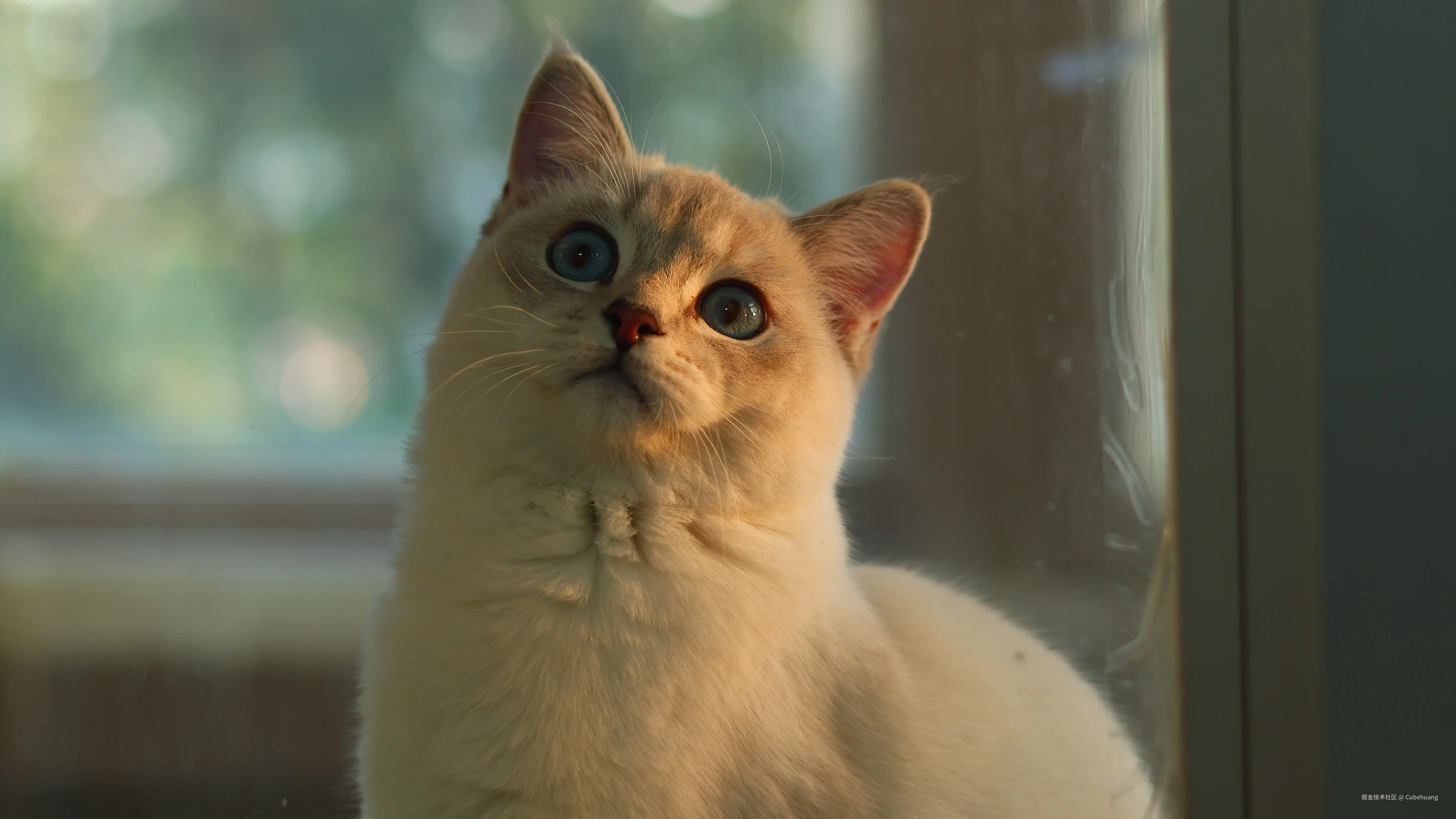 Android系统概念原理