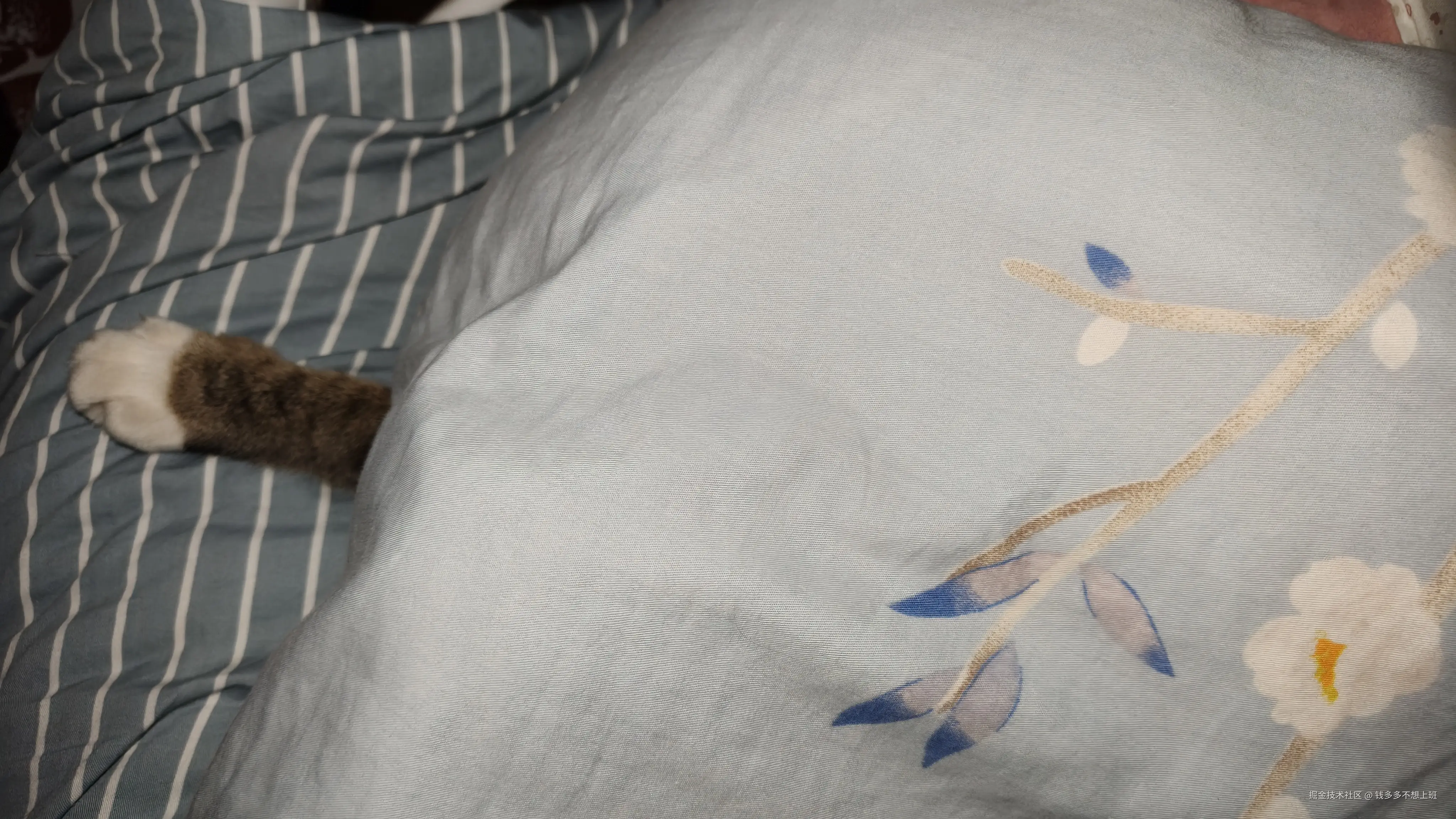 钱多多不想上班于2025-10-20 10:26发布的图片