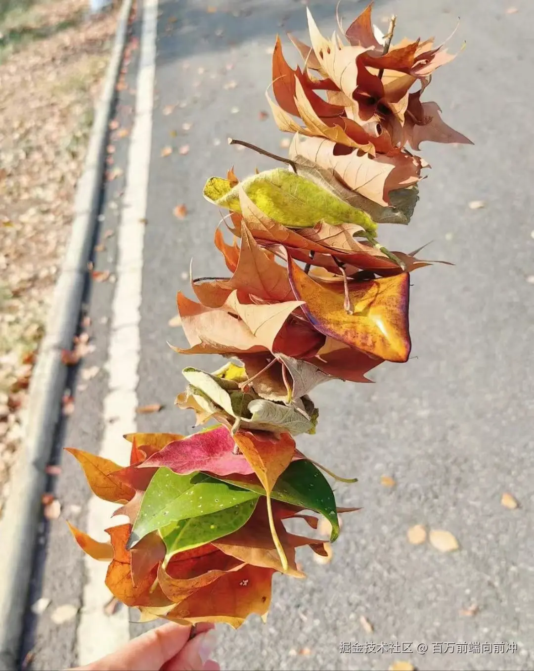 百万前端向前冲于2024-11-14 20:51发布的图片