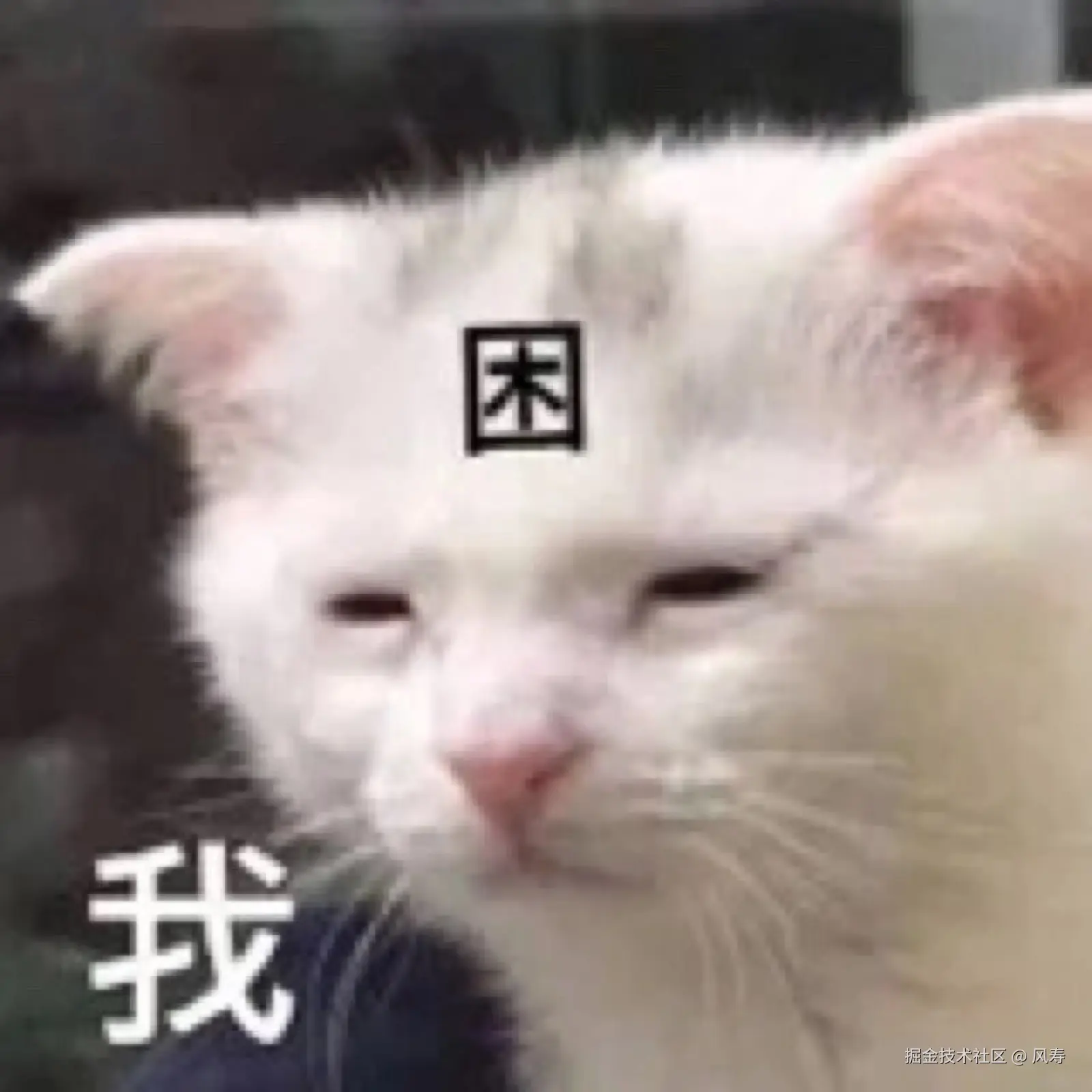 风寿于2025-01-21 14:16发布的图片