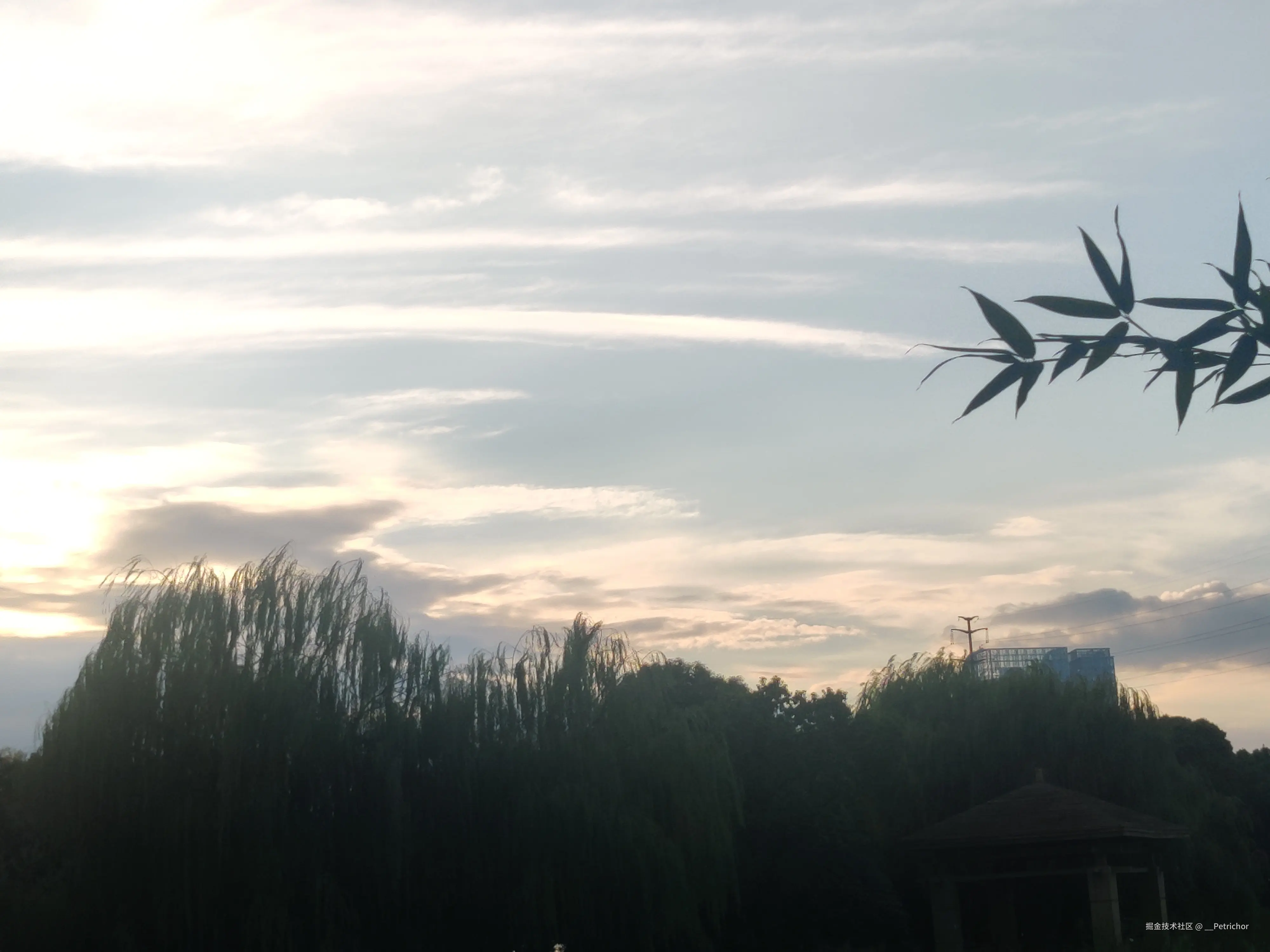 __Petrichor于2024-09-19 17:41发布的图片