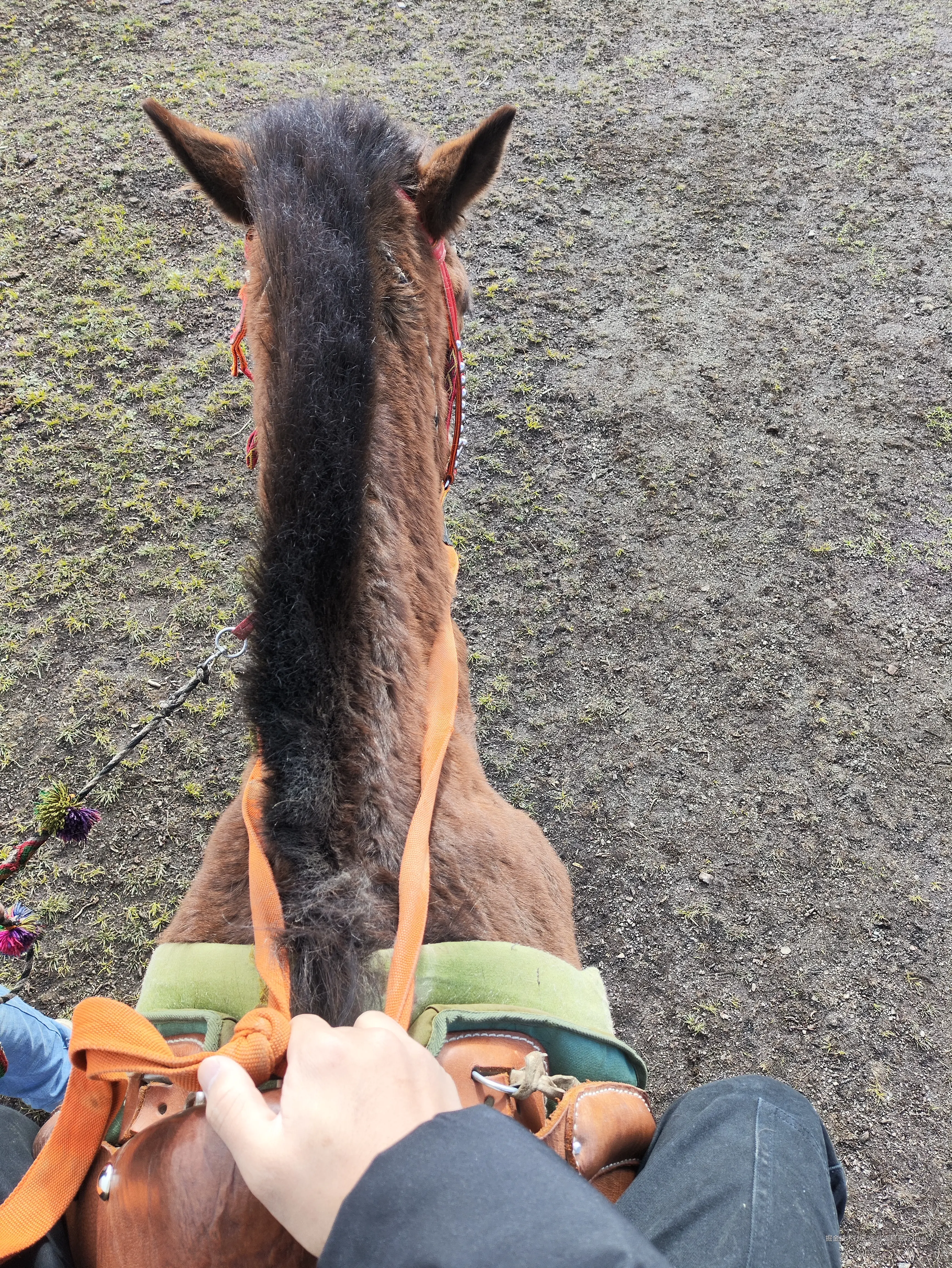 优秀稳妥的JiaJi于2025-05-06 16:33发布的图片