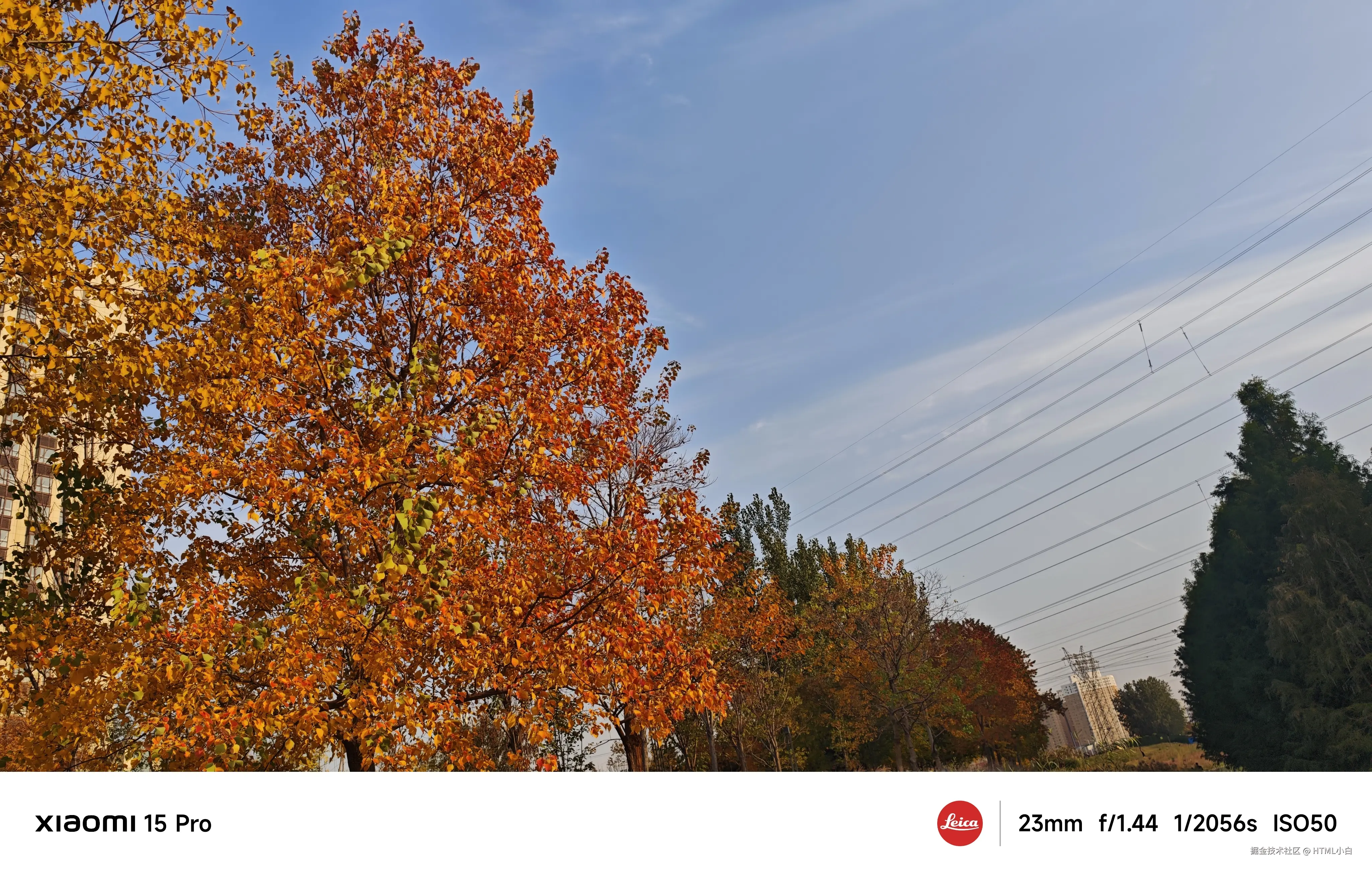 HTML小白于2025-11-03 10:31发布的图片