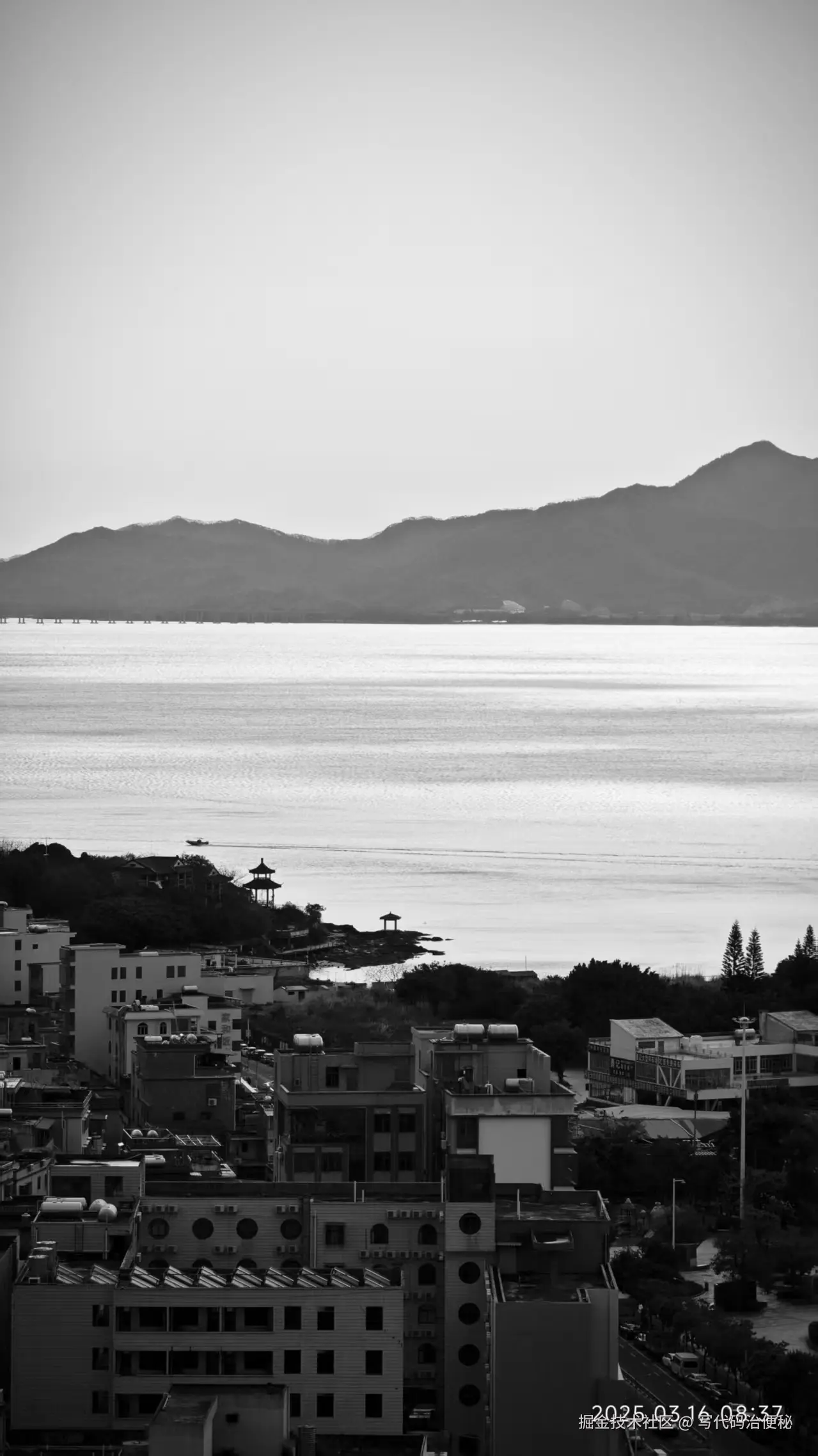 写代码治便秘于2025-05-09 14:43发布的图片