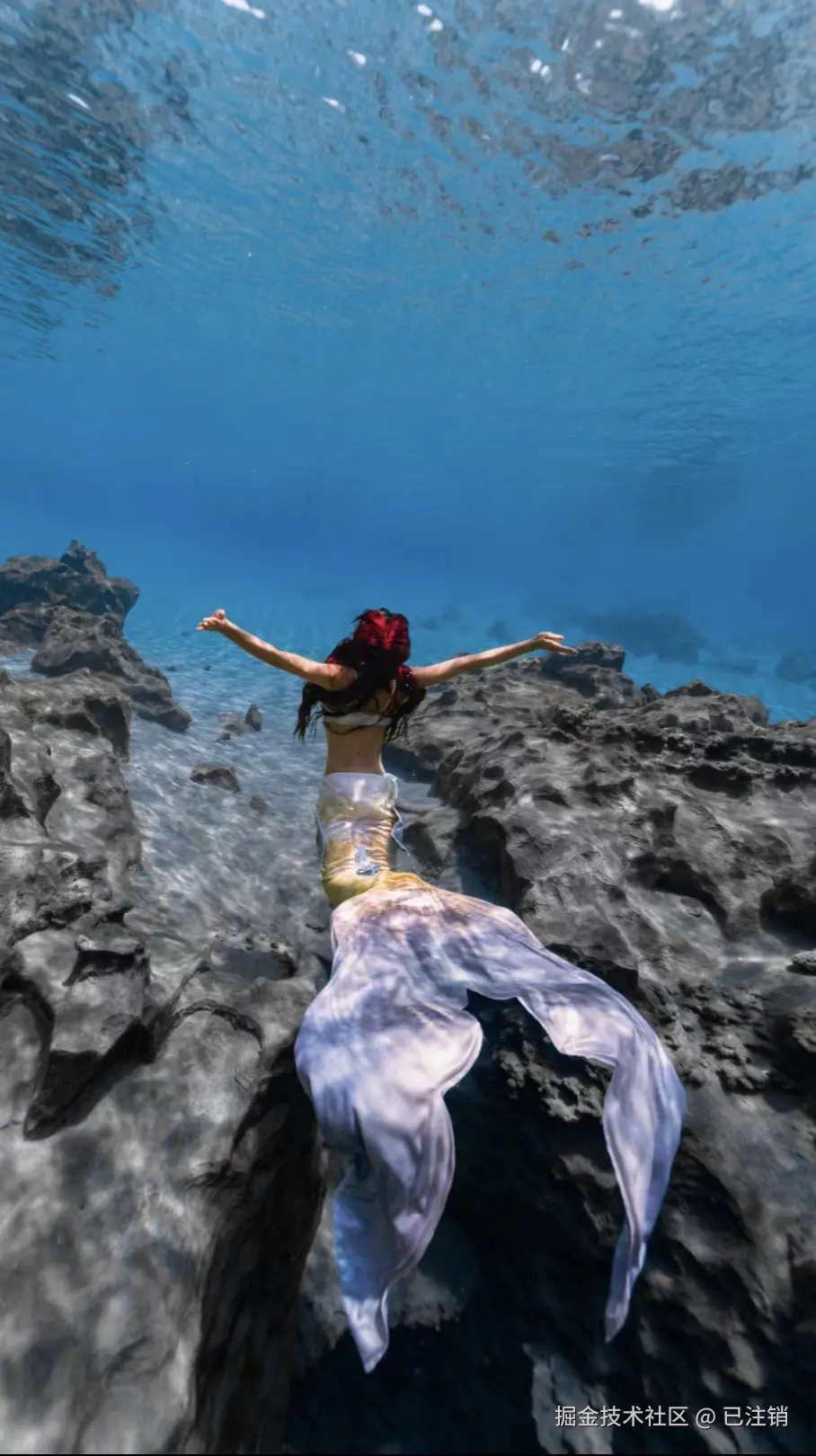 已注销于2025-06-13 15:08发布的图片