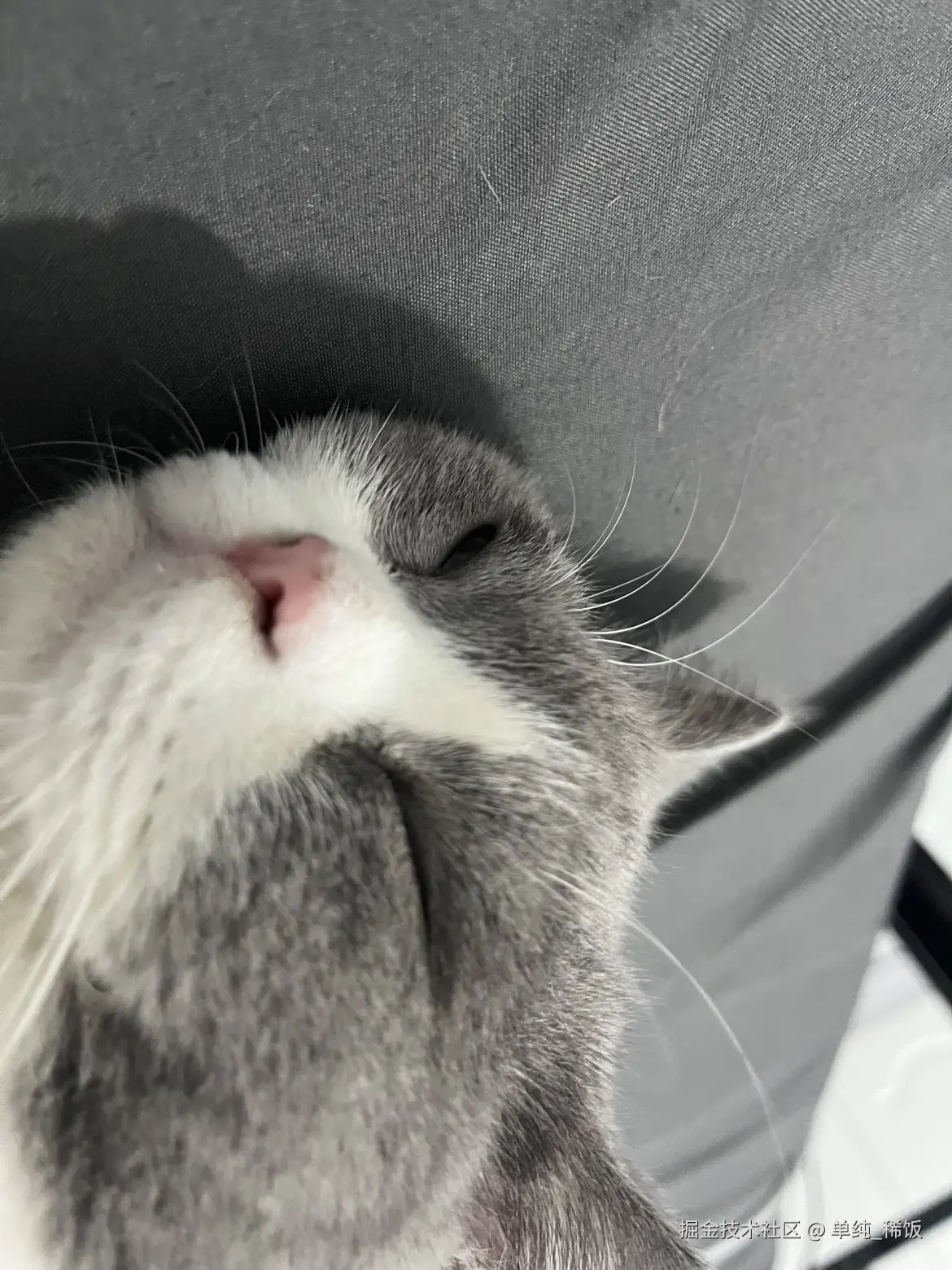 单纯_稀饭于2024-09-23 08:46发布的图片