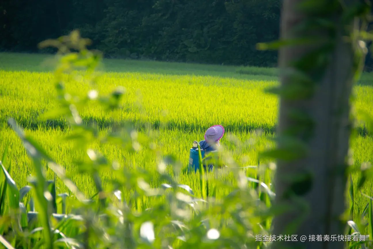 接着奏乐快接着舞于2024-09-26 00:54发布的图片
