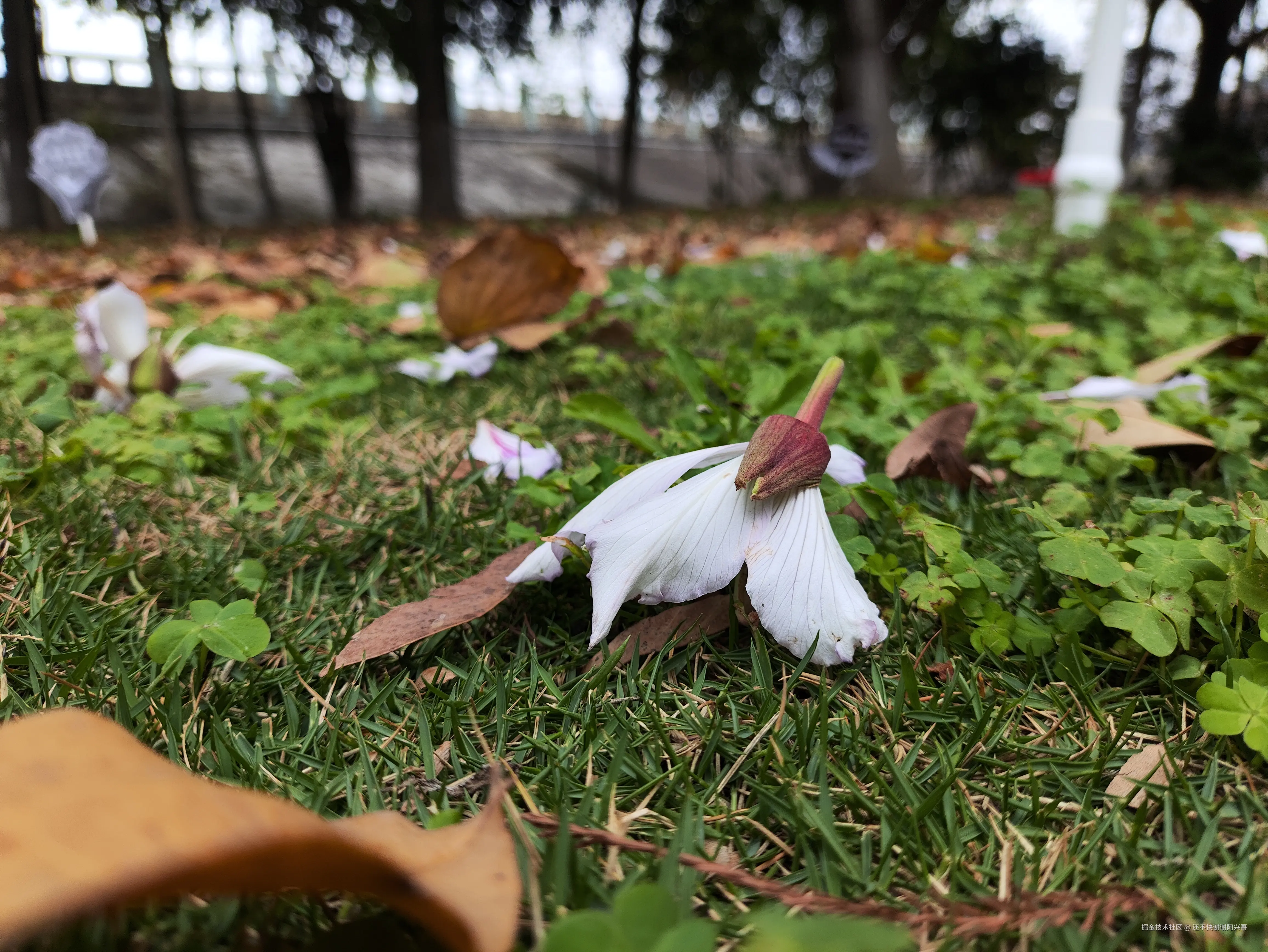 还不快谢谢阿兴哥于2025-02-24 16:10发布的图片