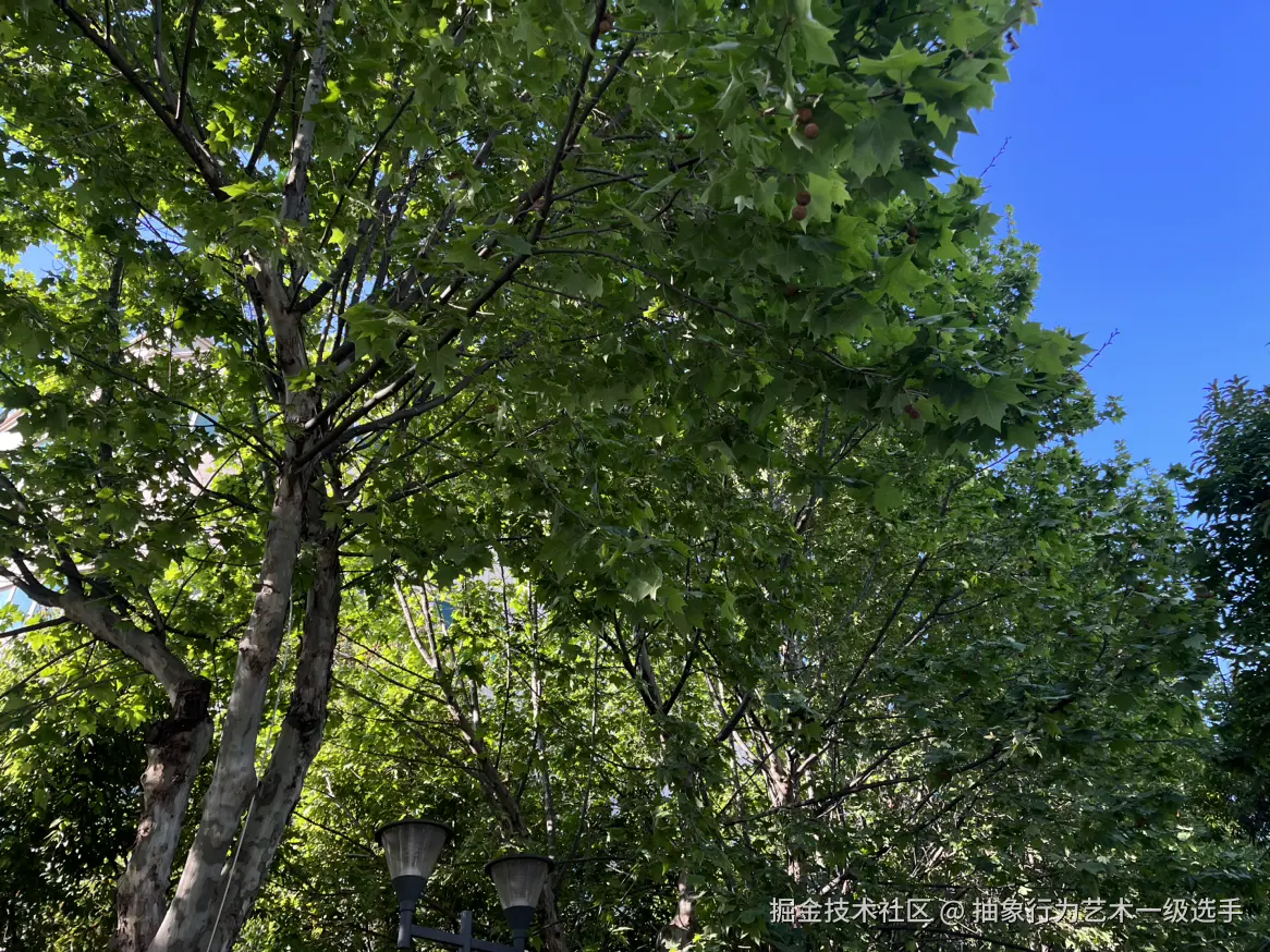 抽象行为艺术一级选手于2026-03-26 09:06发布的图片