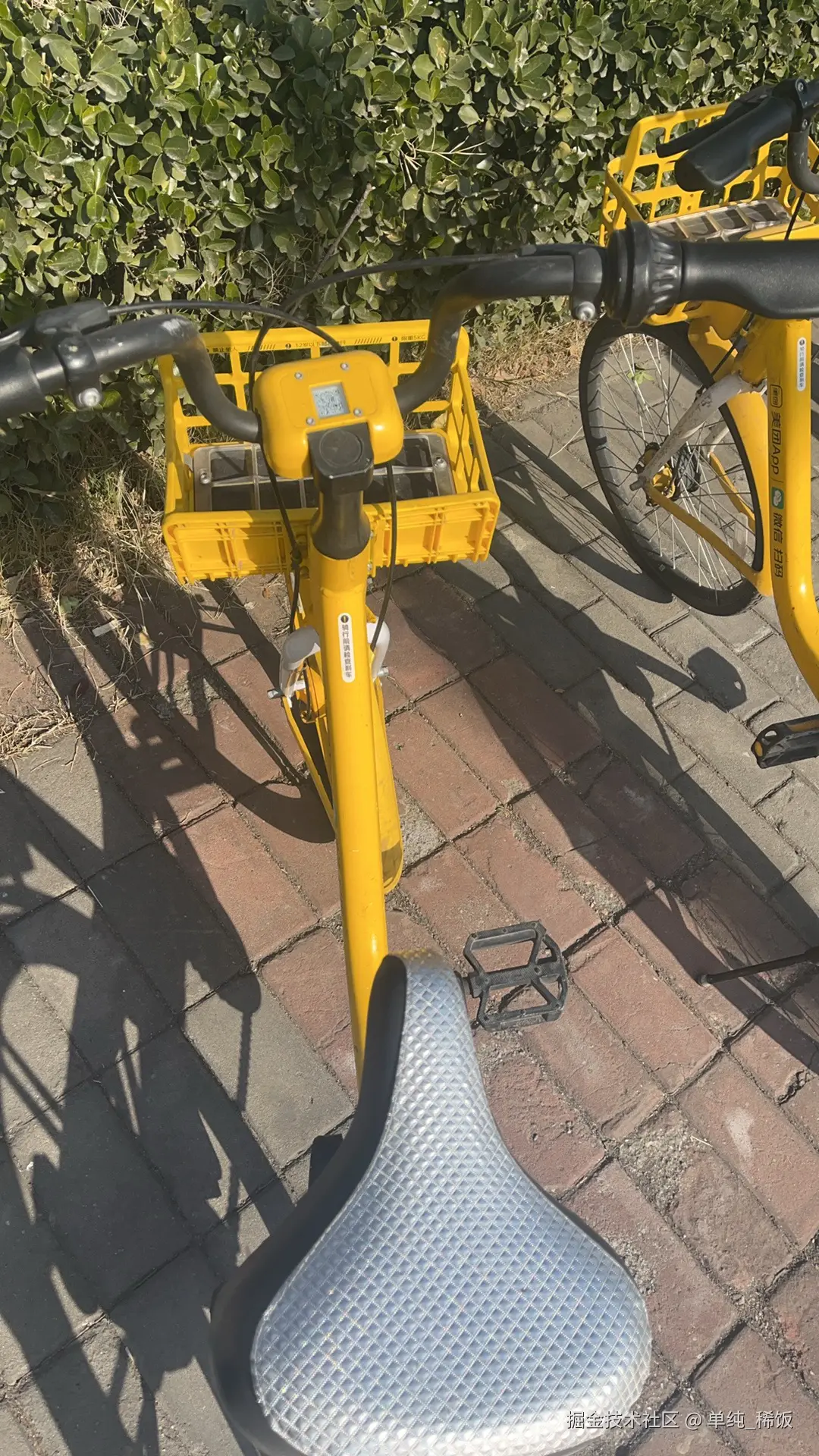 单纯_稀饭于2026-01-13 12:16发布的图片