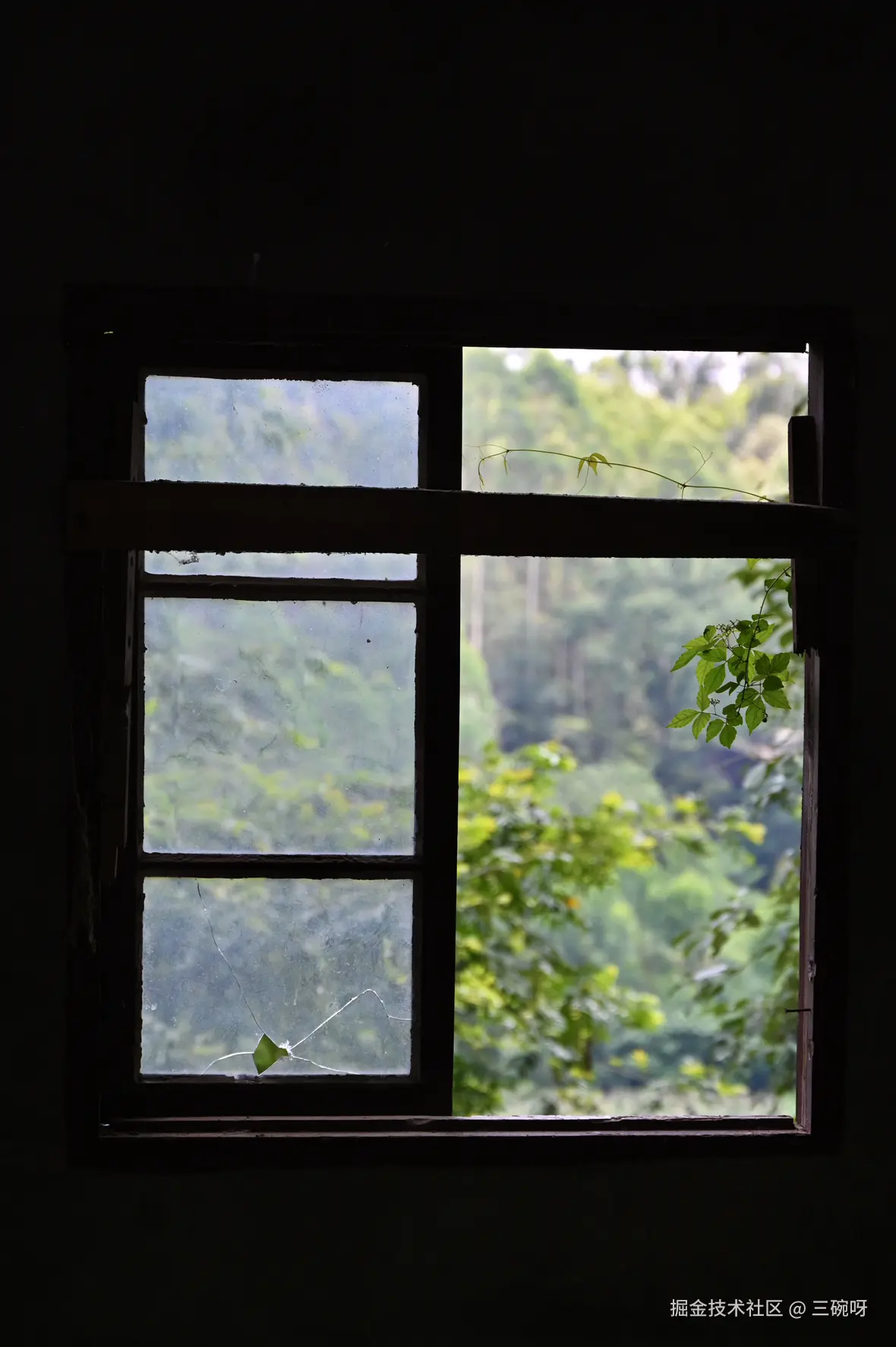 三碗呀于2025-07-28 10:00发布的图片