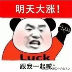 头脑发热于2026-03-05 17:27发布的图片