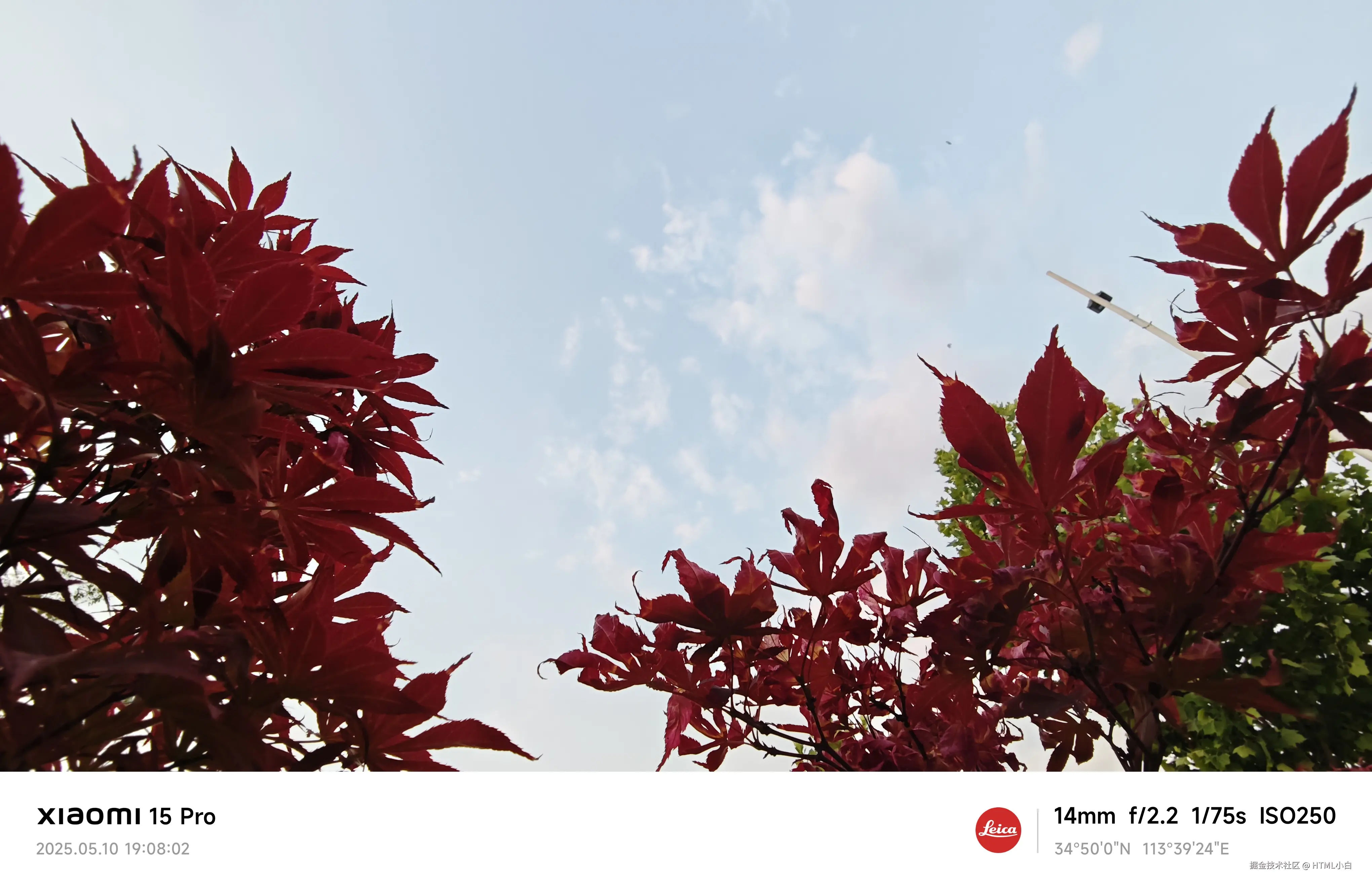 HTML小白于2025-05-12 10:15发布的图片