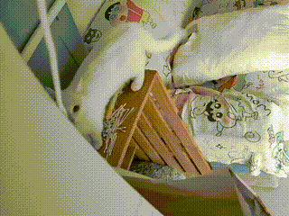 就爱吃火锅于2025-10-16 16:17发布的图片