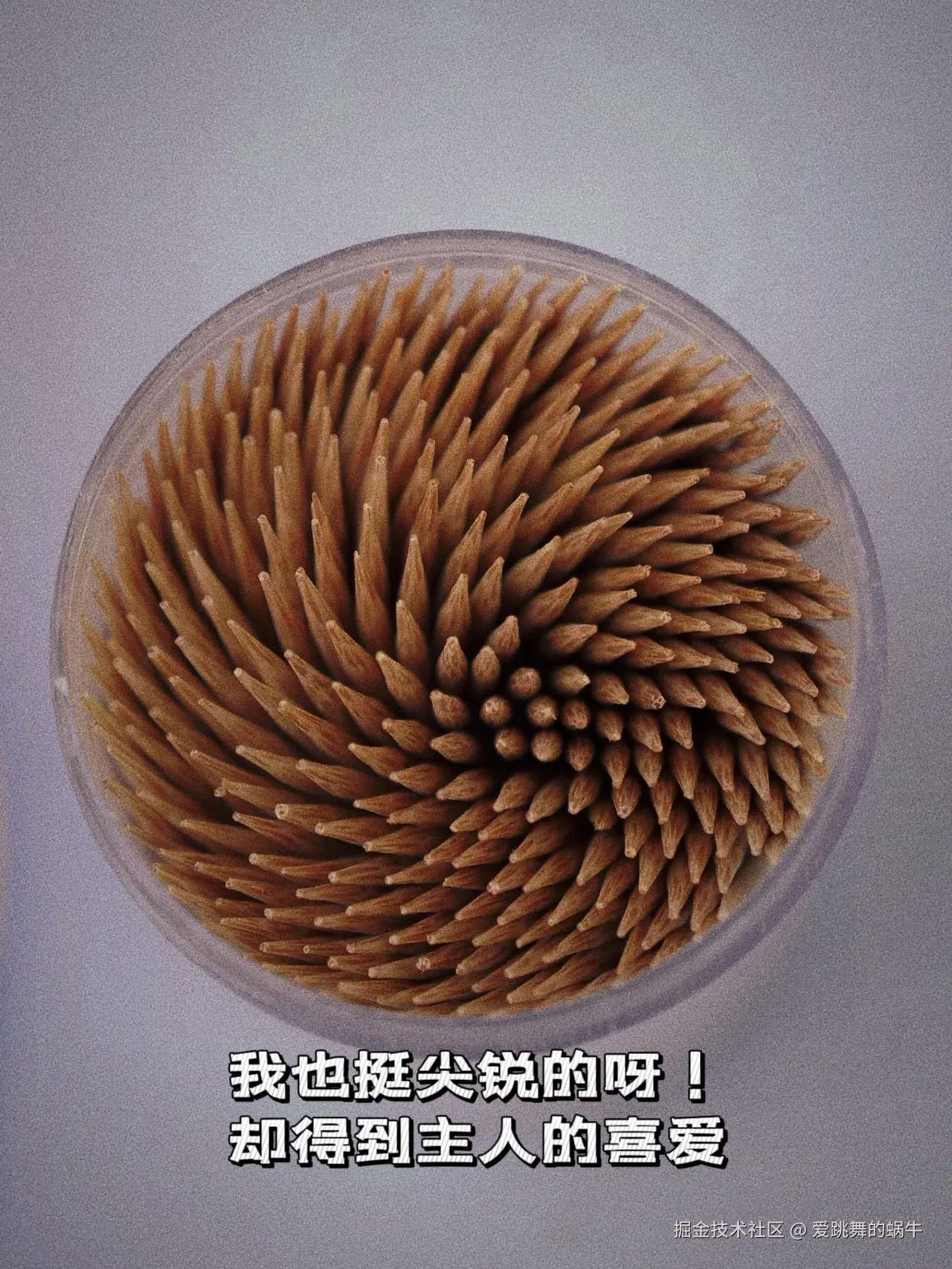 爱跳舞的蜗牛于2024-08-25 13:53发布的图片