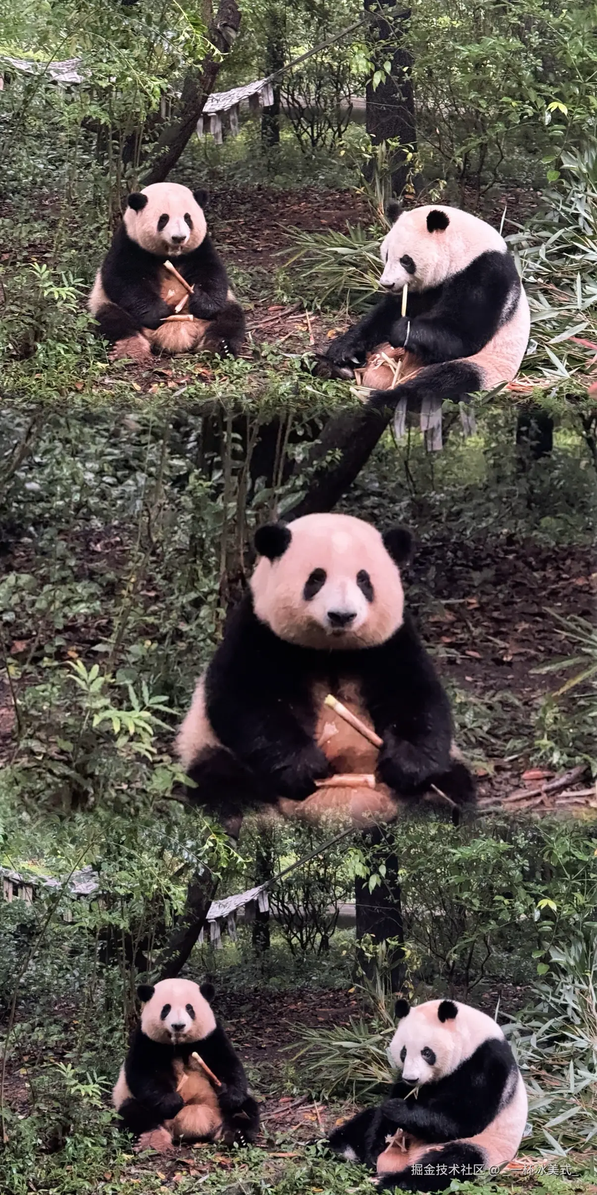 _一杯冰美式_于2025-09-11 10:06发布的图片