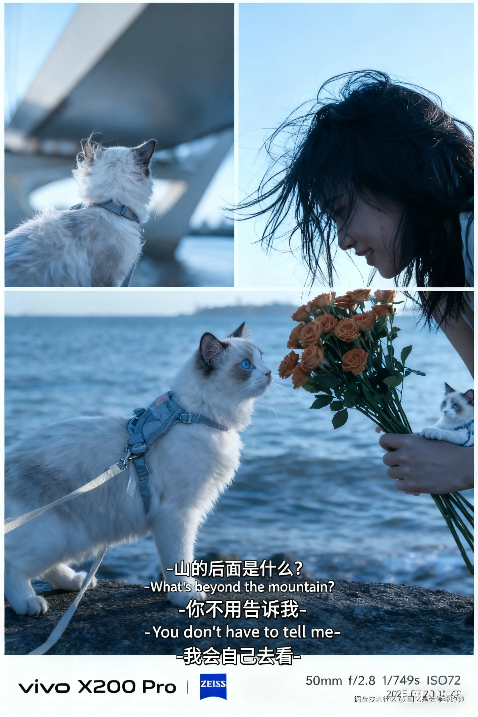 回忆是会停滞的钟于2025-10-20 17:15发布的图片