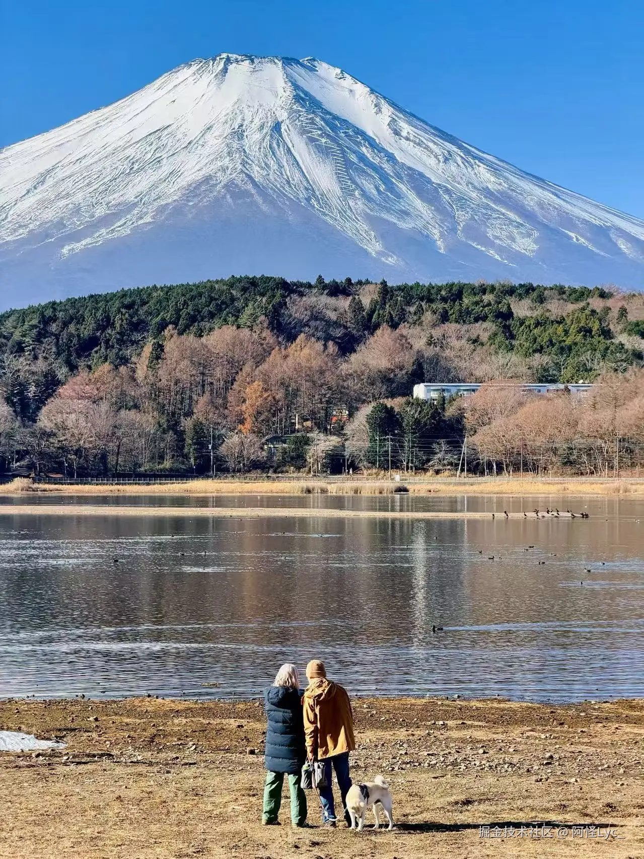 阿怪Lyc_于2025-12-30 10:57发布的图片