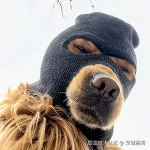 东城猛男于2025-04-09 14:23发布的图片