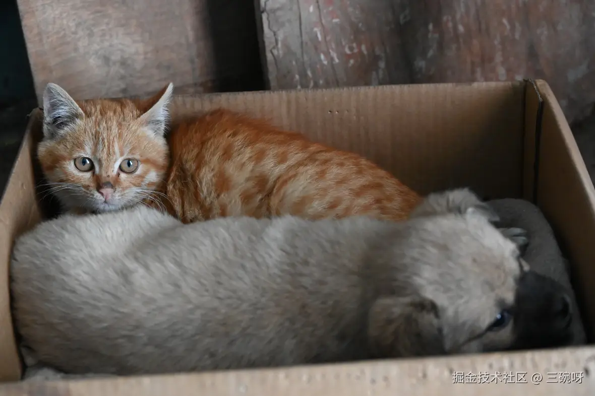 三碗呀于2025-01-13 16:23发布的图片