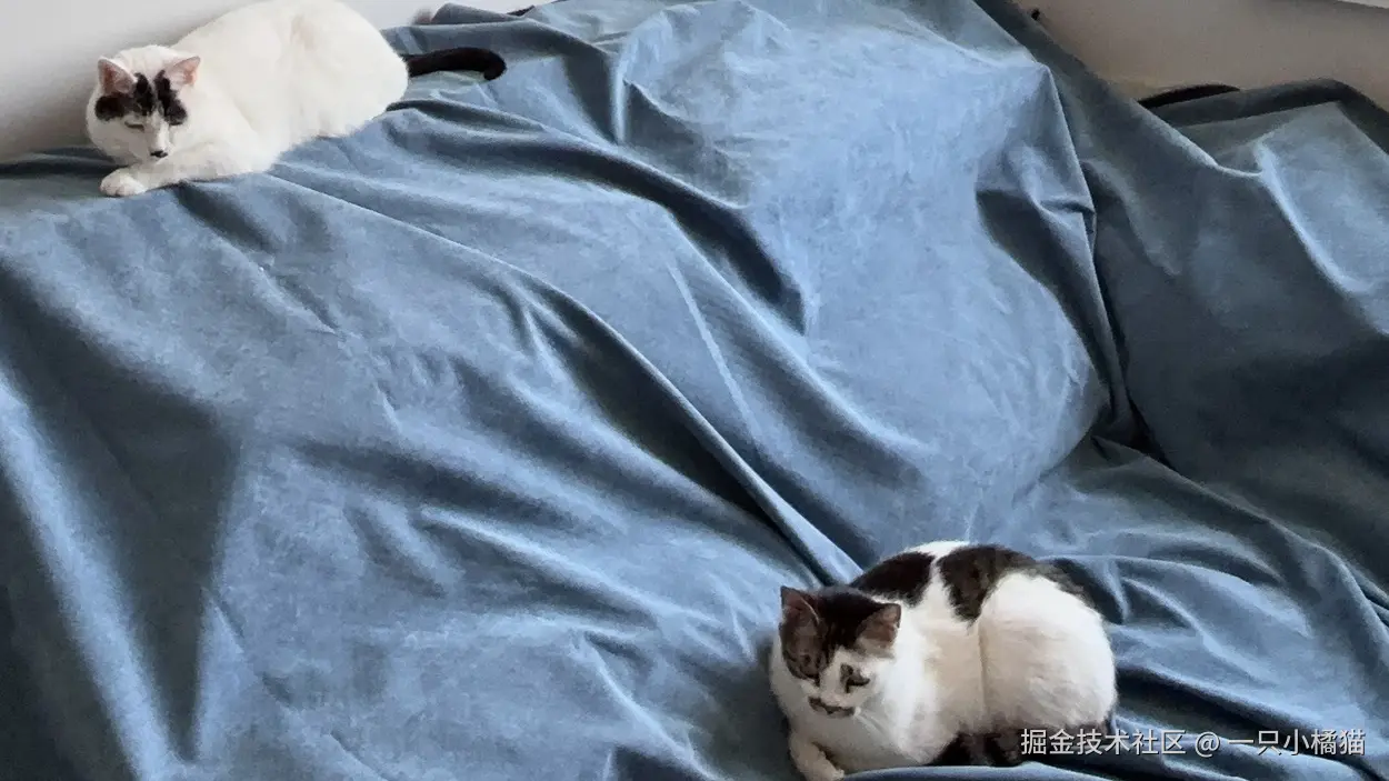 一只小橘猫于2026-05-04 12:23发布的图片