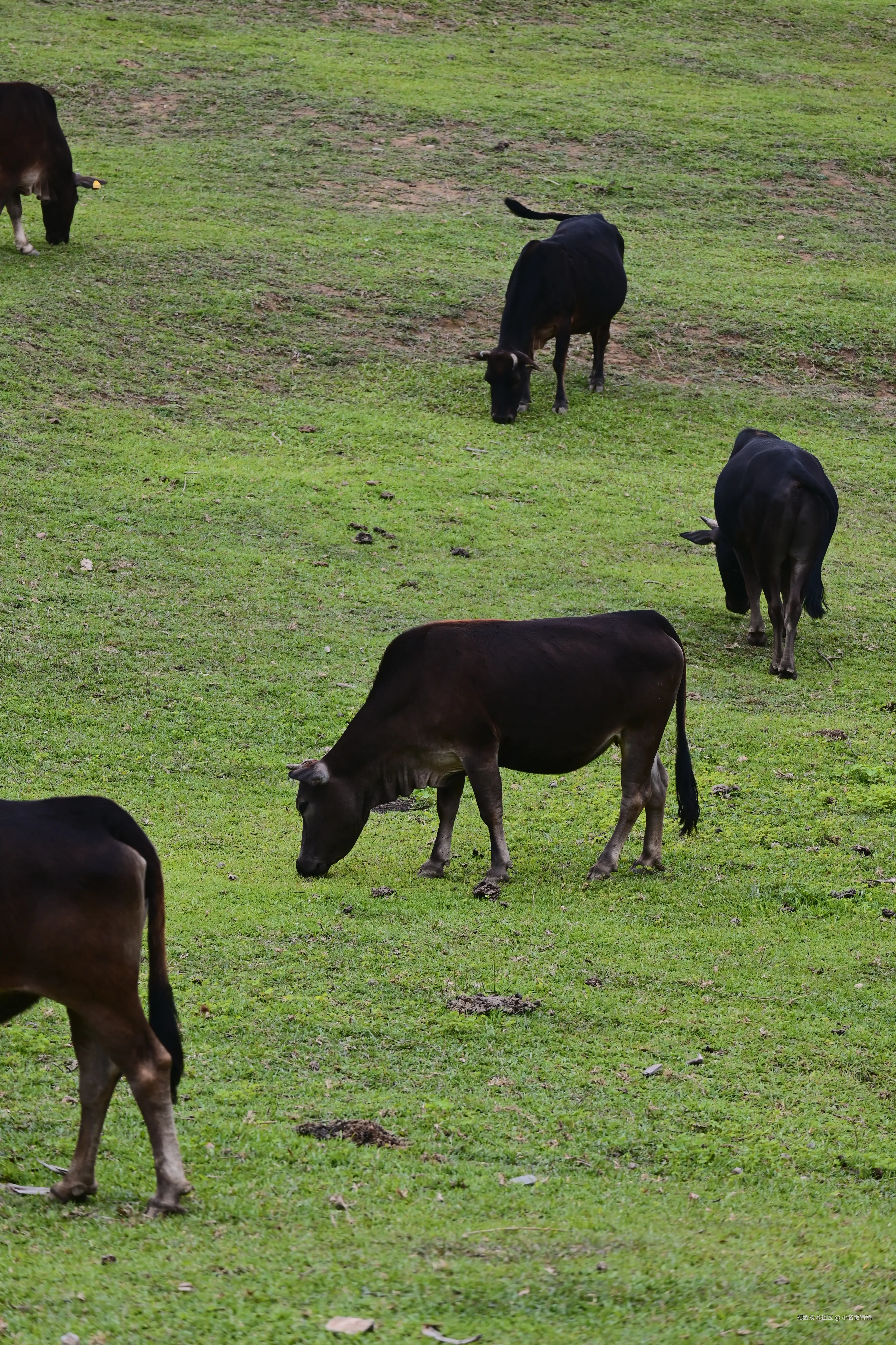 小名饭特稀于2026-04-27 10:47发布的图片